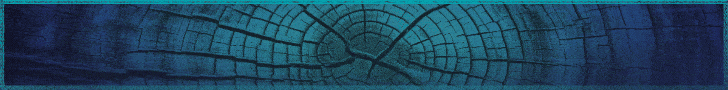 Banner da PMFS: Campanha do São João e São Pedro de 2026.