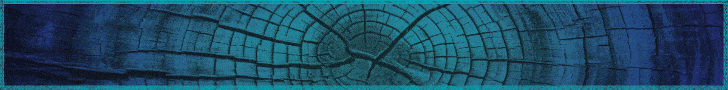 Banner da PMFS: Campanha do São Pedro de 2026.