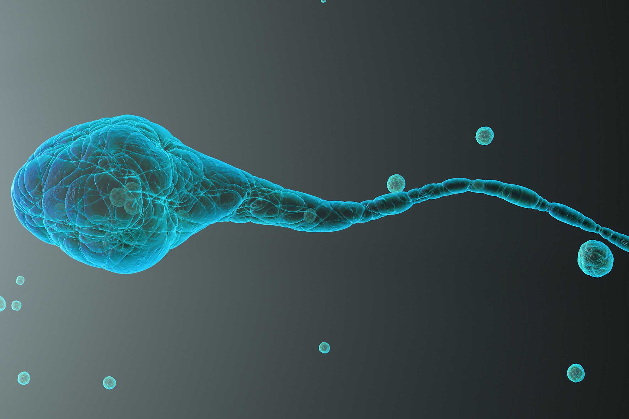 Reprodução assistida.