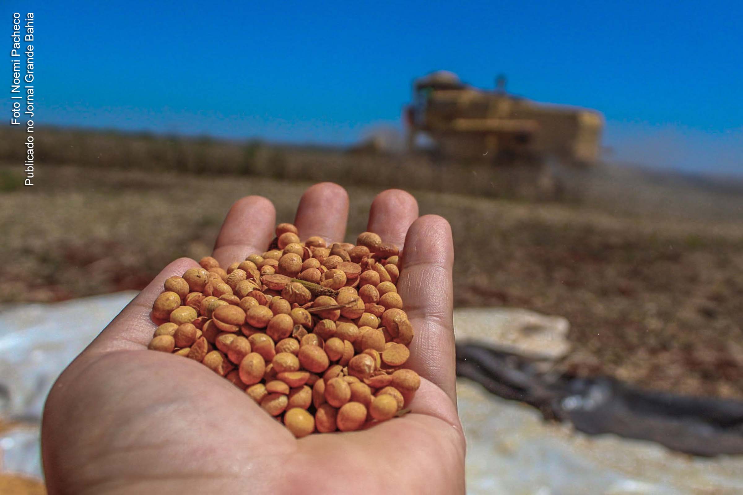 Exportações da Bahia mantêm expansão em setembro de 2011 e chegam a US$ 8,13 bilhões