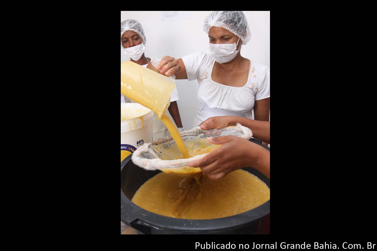 Produzindo polpas de frutas, cocadas e sequilhos, uma cooperativa de Ichu, na Bahia, composta majoritariamente por mulheres, descobriu uma saborosa forma de reforçar a renda de 180 famílias de agricultores.