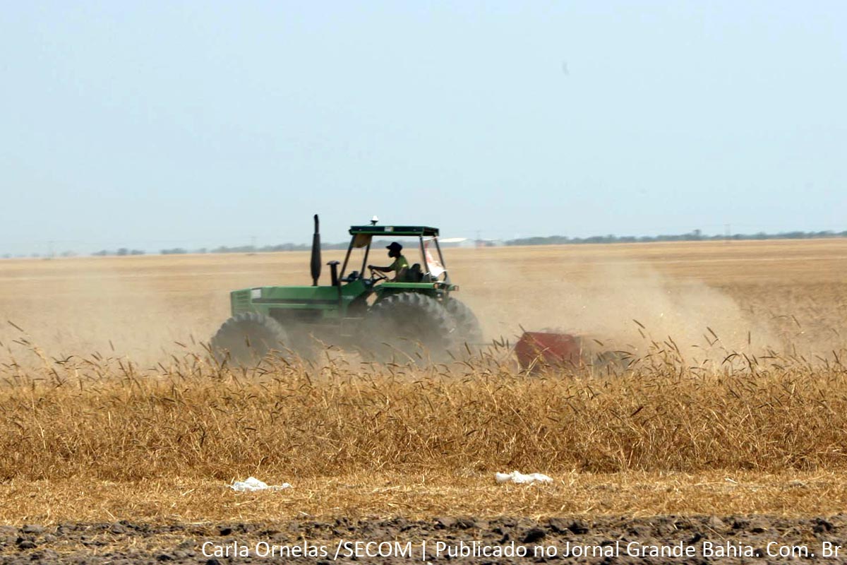 Nem só de máquinas, implementos, insumos para o campo e a lavoura é feita a Bahia Farm Show.
