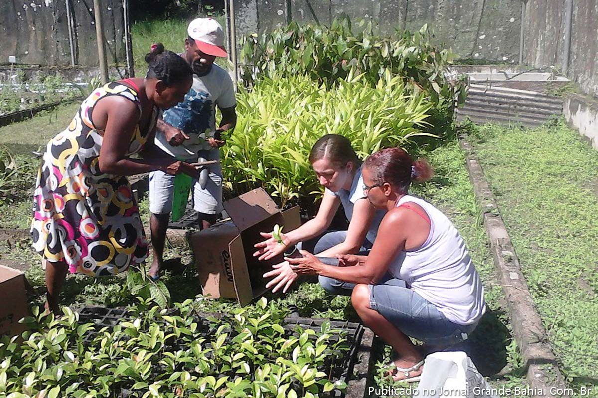 EBDA estimula quintais produtivos em Valença.
