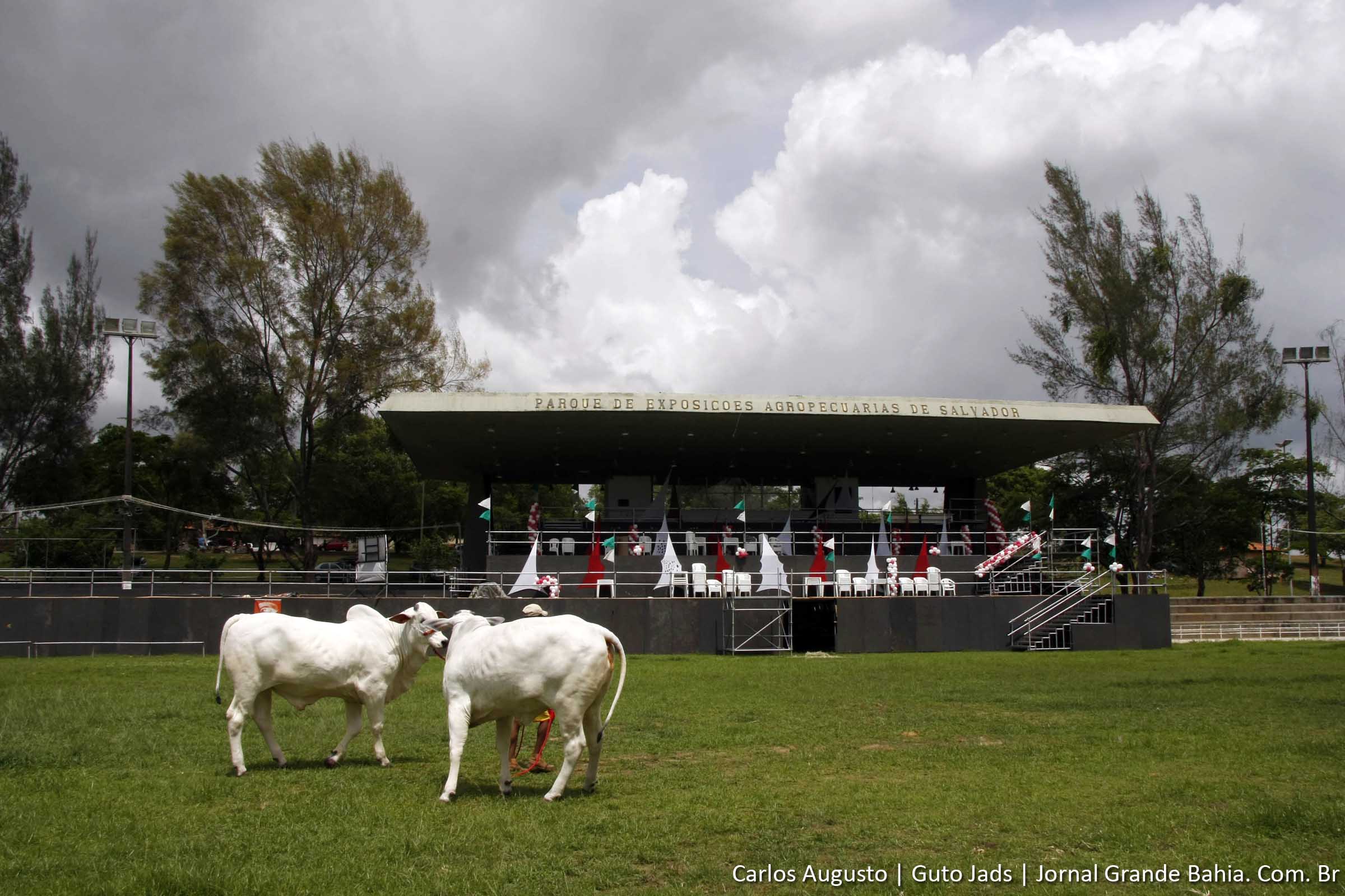 Entre os dias 4 e 8 de agosto de 2012, o Parque de Exposições de Salvador a 3º Expoagro Bahia, com a exposição de 6 mil animais, entre equinos, bovinos, caprinos e ovinos.