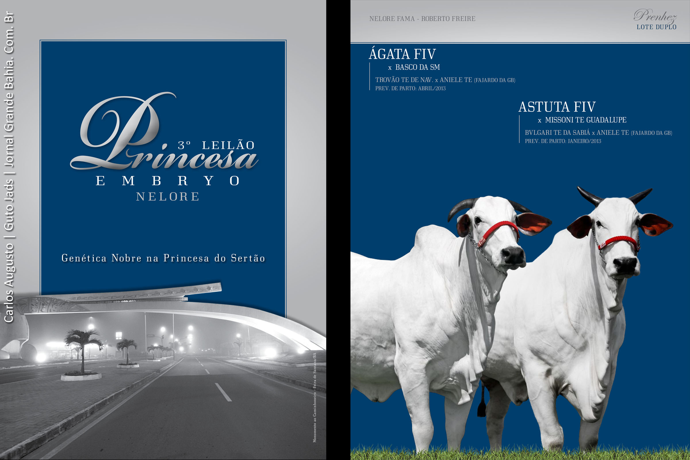 Criadores promovem leilões, a exemplo da 3º edição do Princesa Embrio.