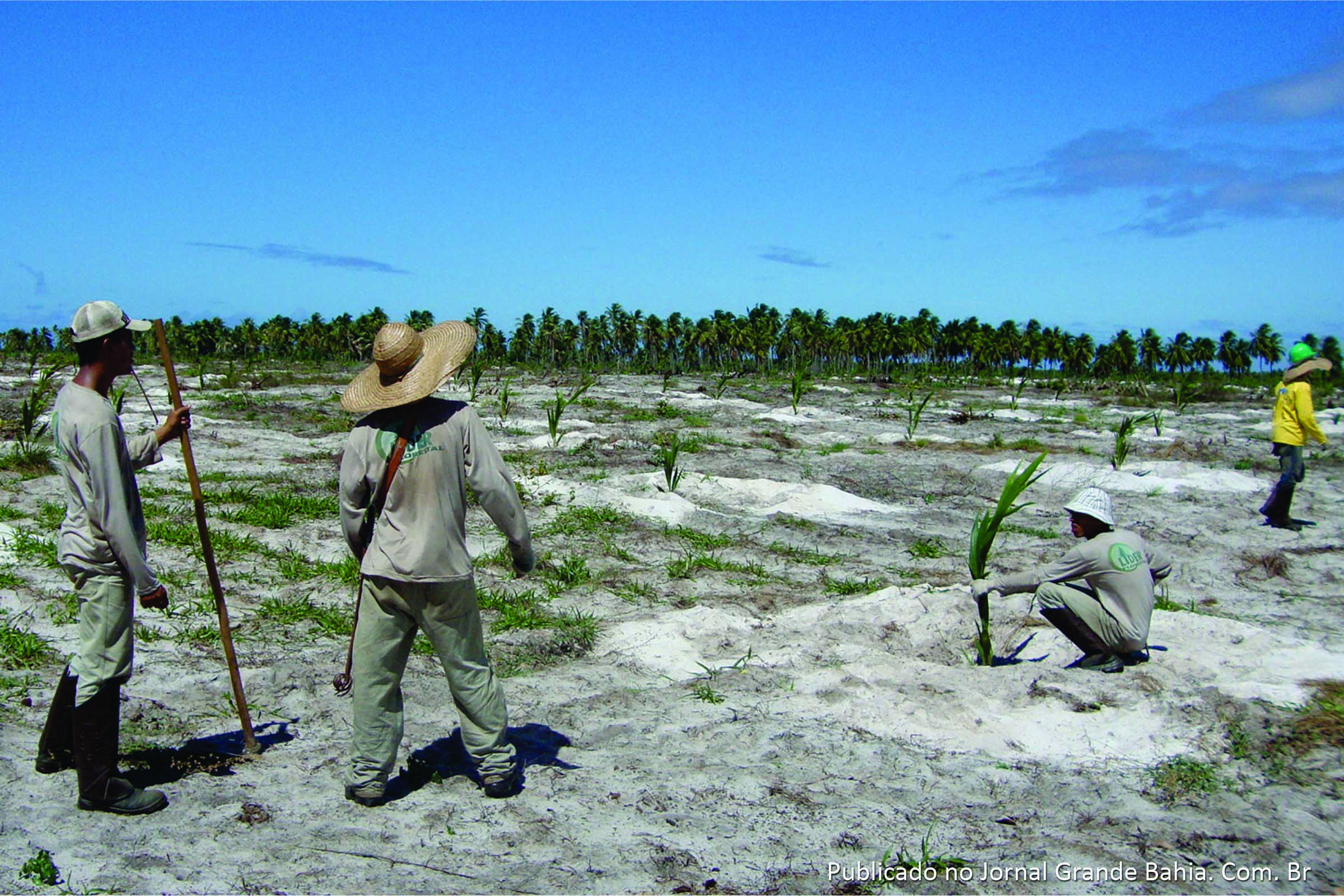Operações incluem fazendas de coco na região do conde.