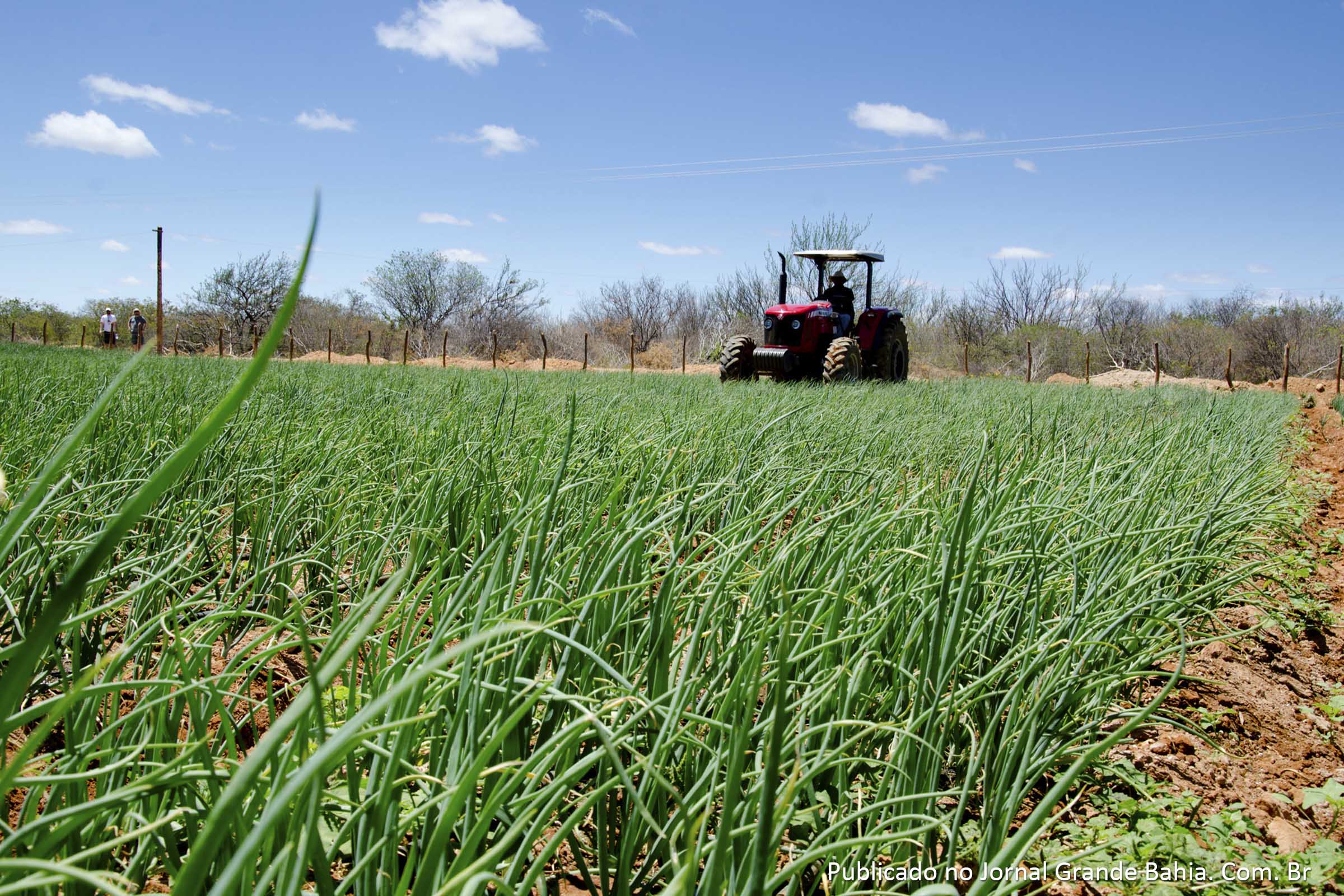 Quatro associações de pequenos produtores do norte baiano foram beneficiados com equipamentos agrícolas doados pela Companhia de Desenvolvimento dos Vales do São Francisco e do Parnaíba (Codevasf)