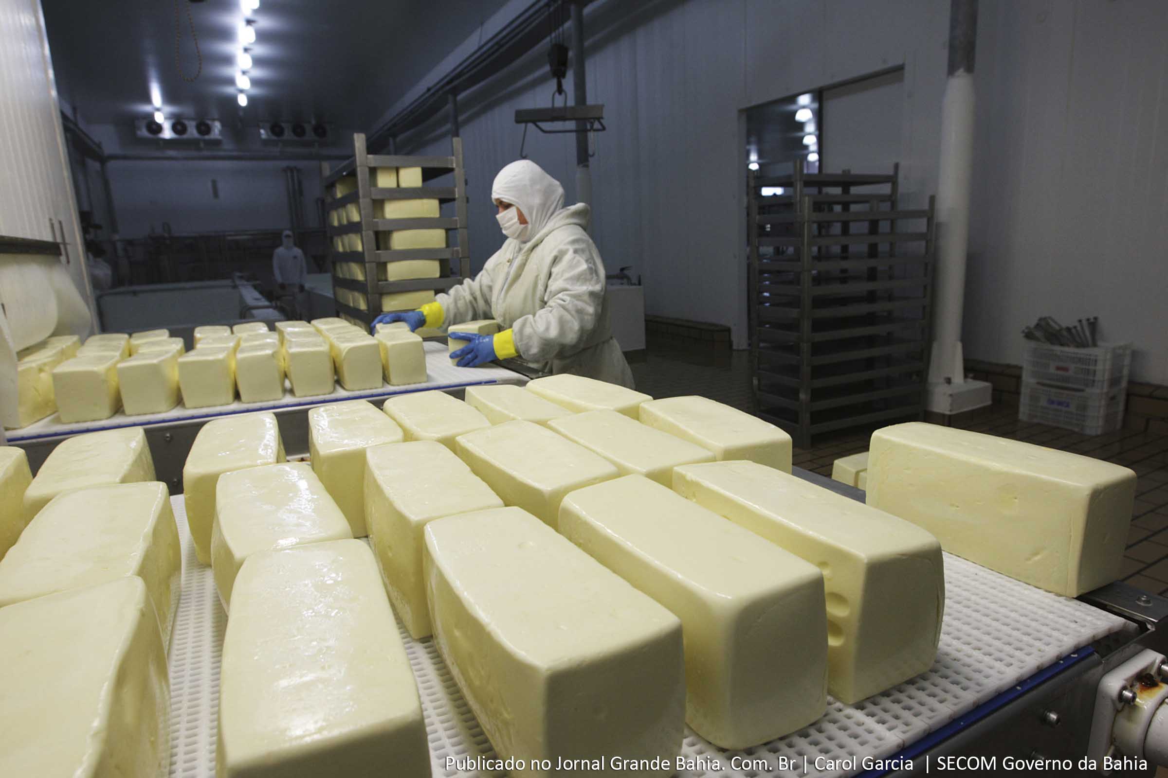 250 empregos diretos foram gerados com a inauguração do Laticínios Davaca.