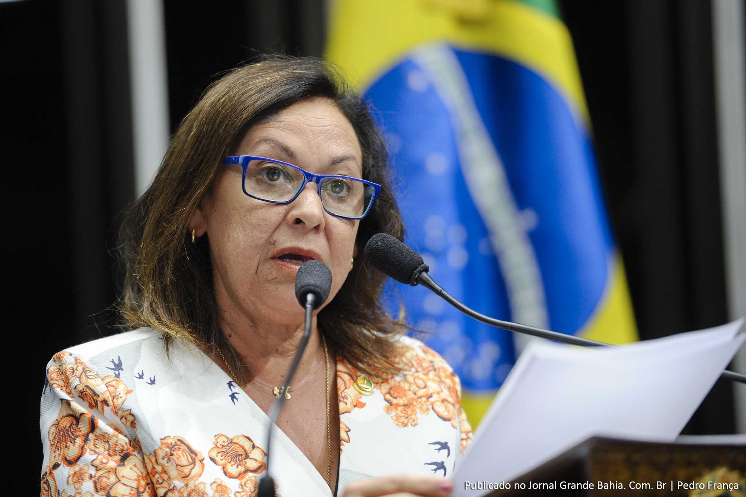 Senadora Lídice da Mata defendeu discussão aprofundada no Congresso Nacional sobre a redução da maioridade penal.