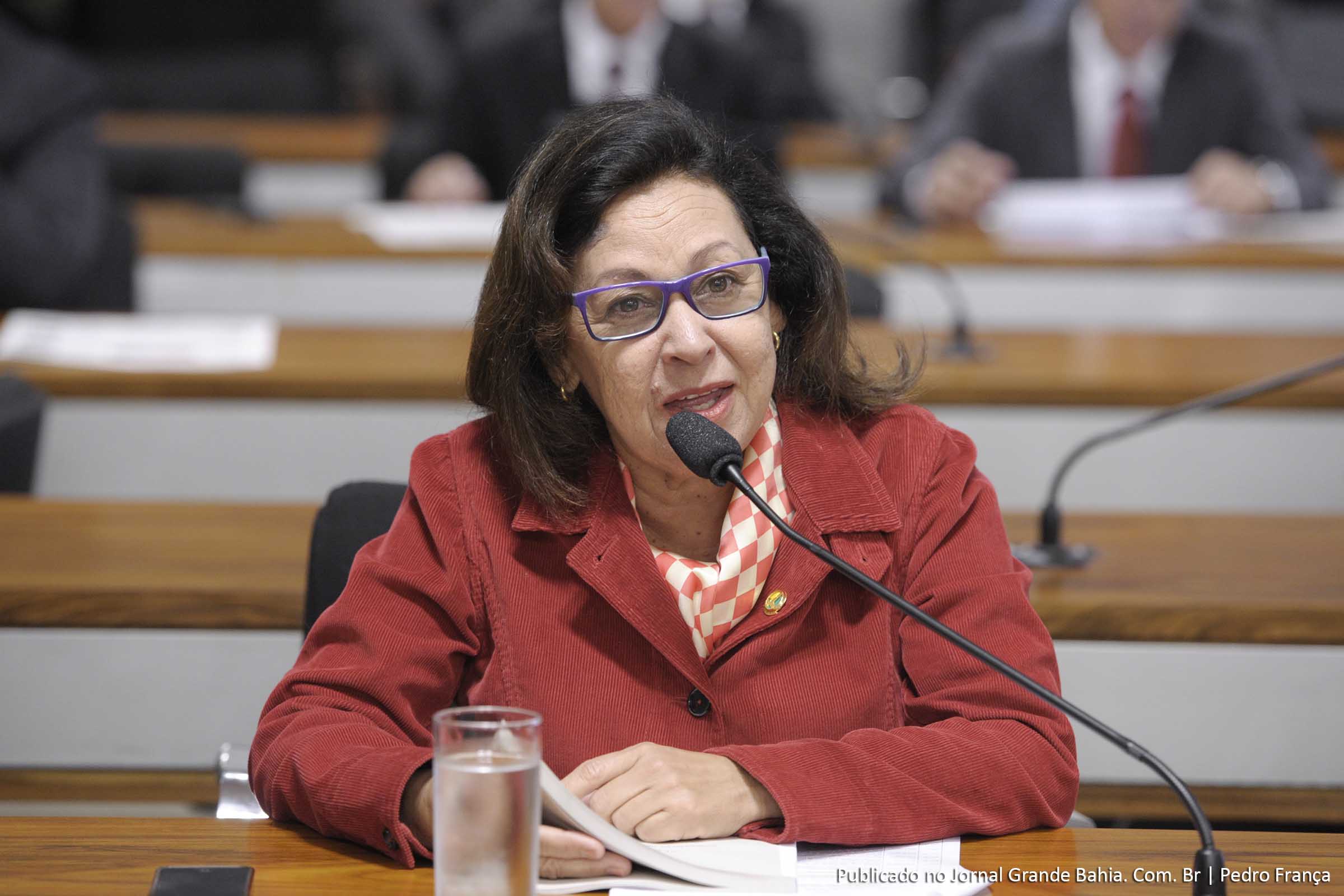 Lídice da Mata: “Chegamos a um estágio em que os gargalos no escoamento da produção começam a criar obstáculos ao desenvolvimento do setor, o que não é bom para o Brasil, nem para os brasileiros”