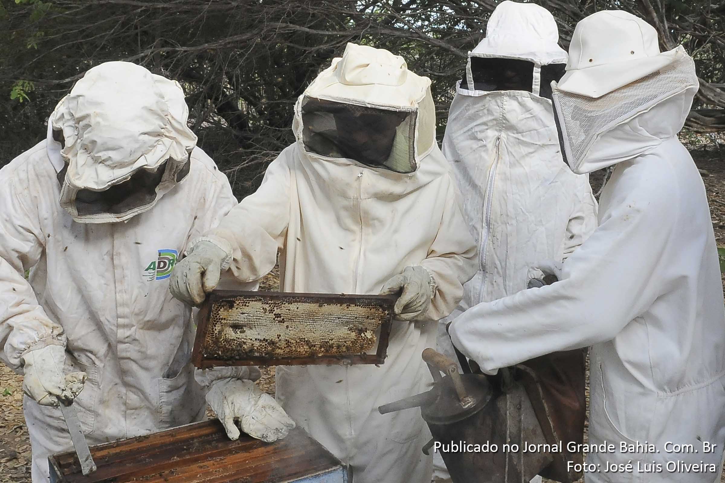 CODEVASF apoia a apicultura através de treinamento e entrega de kits.