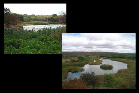 Estudos de viabilidade para revitalização do Rio Jacaré foram iniciados.