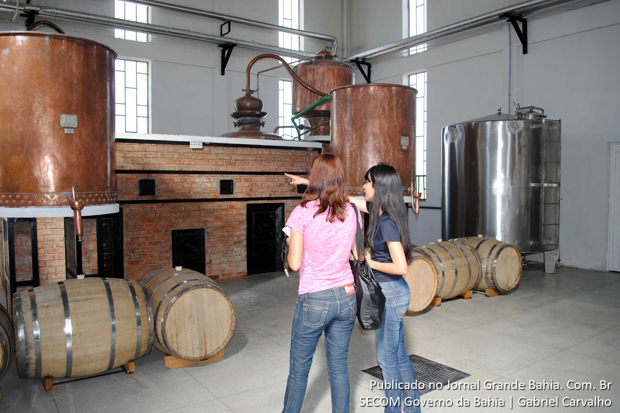 Enoturismo no Vale do do São Francisco, Fazenda Ouro Verde.