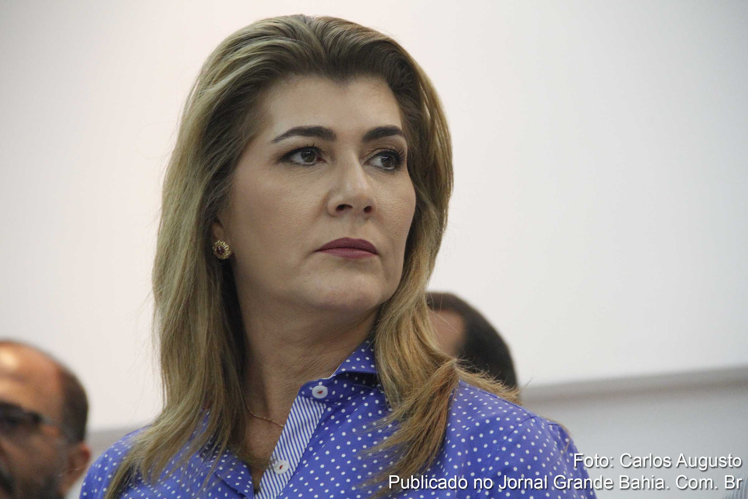 Deputada Graça Pimenta destaca número reduzido de hidrantes.