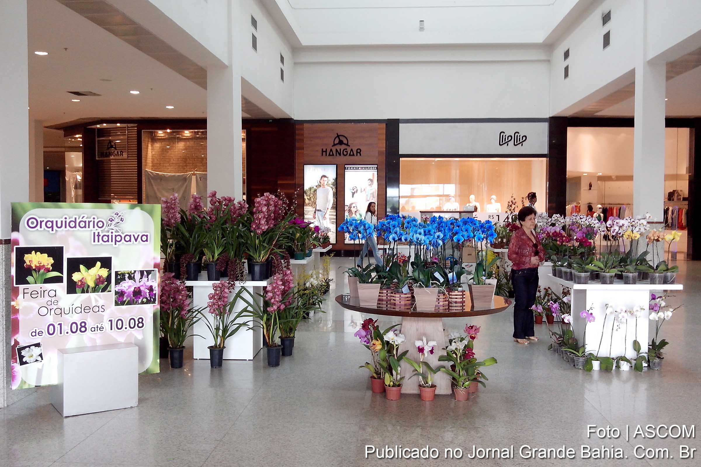 Feira de orquídeas ocorre no Boulevard Shopping Feira de Santana.