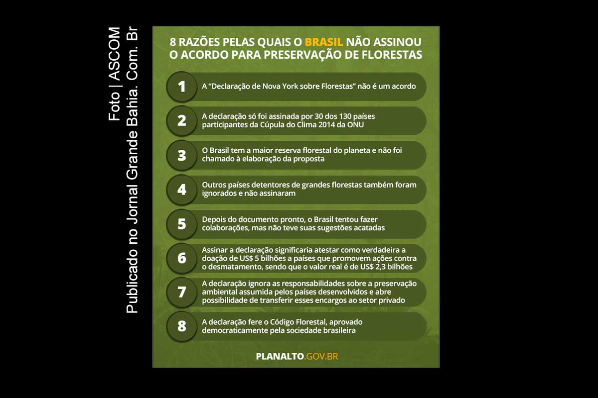 Oito razões pelas quais o Brasil não assinou acordo para preservação de florestas.