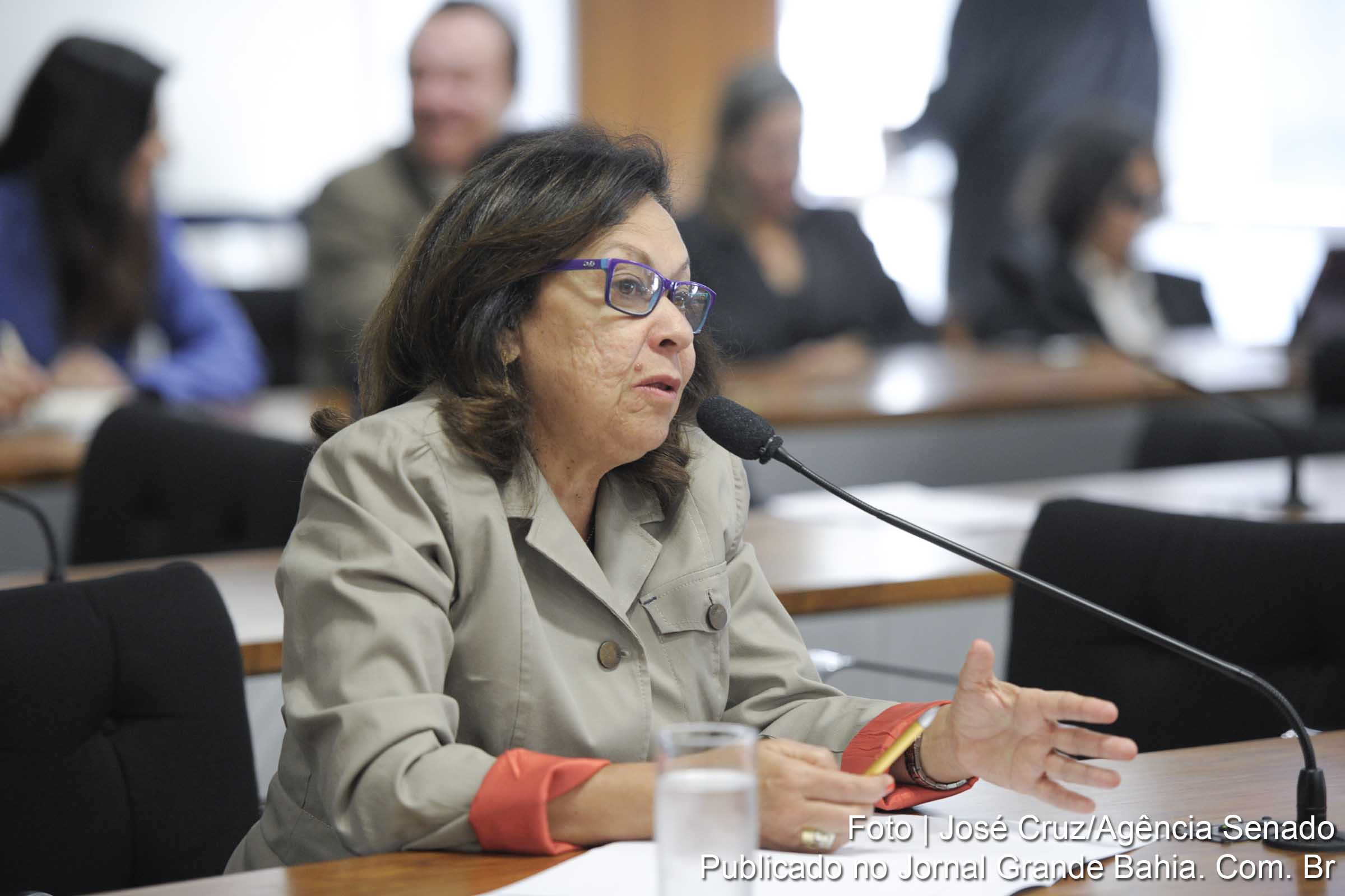 Senadora Lídice da Mata apresenta propostas para reforma política.