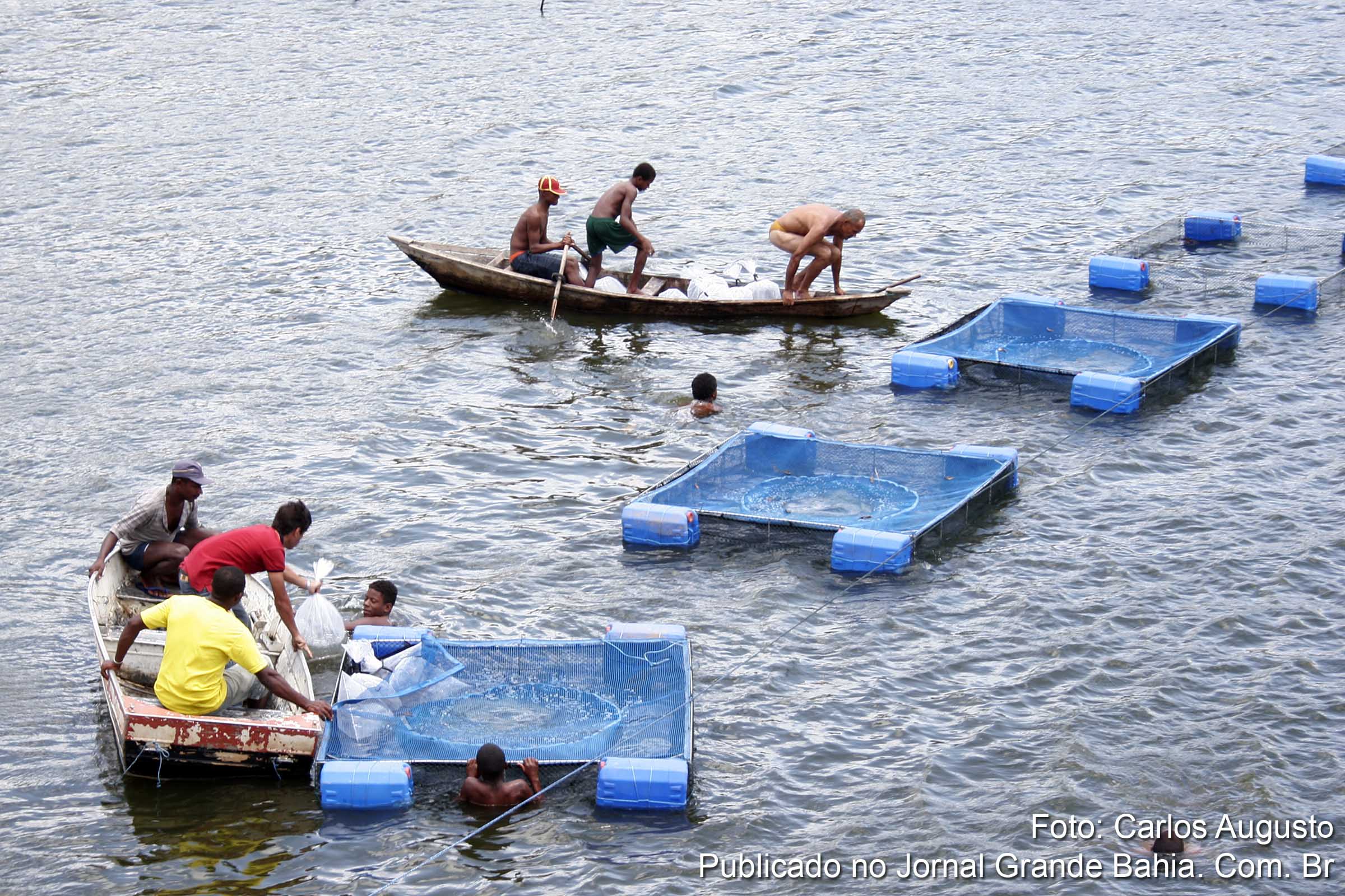 Cooperativas de pescadores ofertam pescado com preço reduzido.