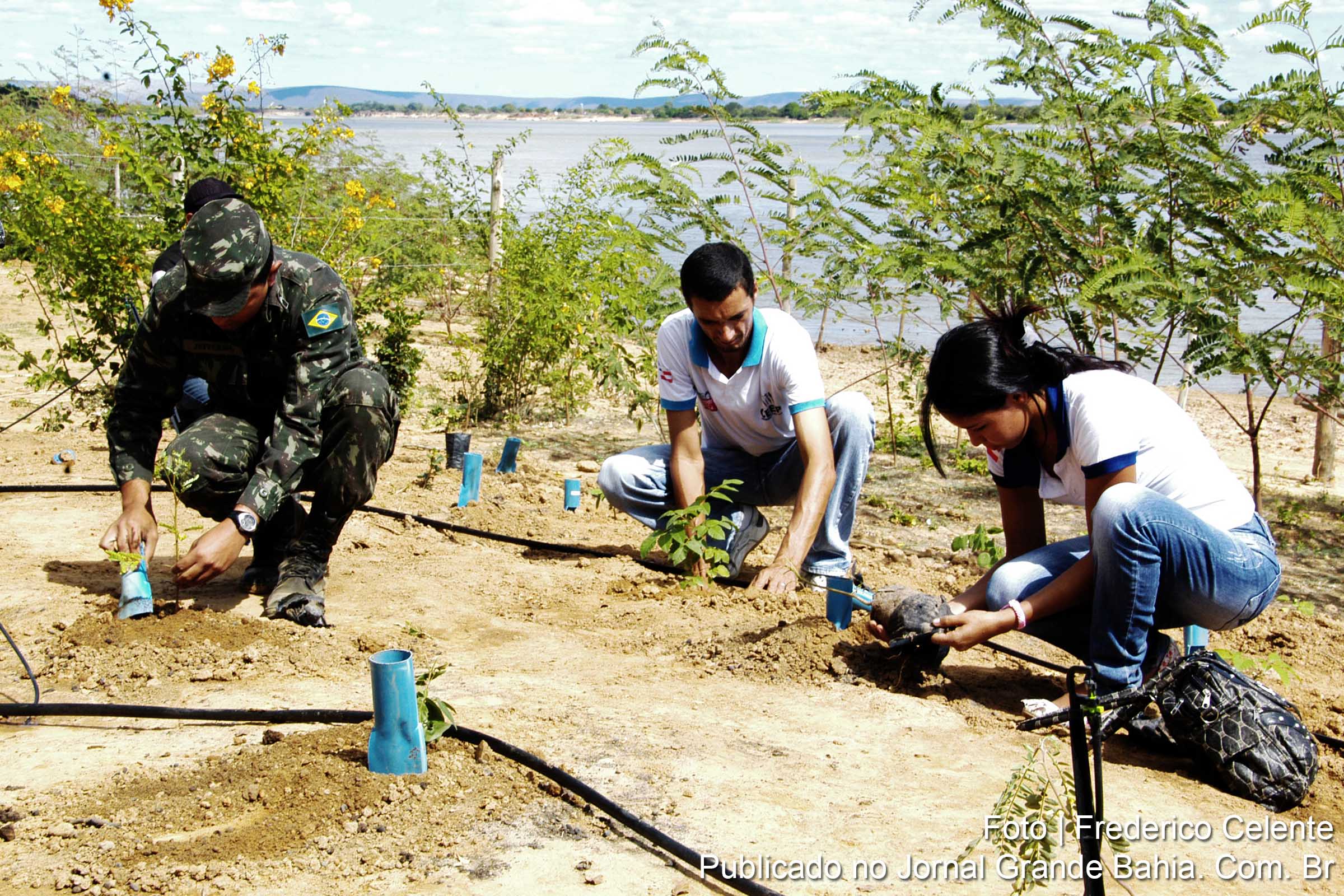 Parceria entre Codevasf e Exército revitaliza margens do São Francisco.