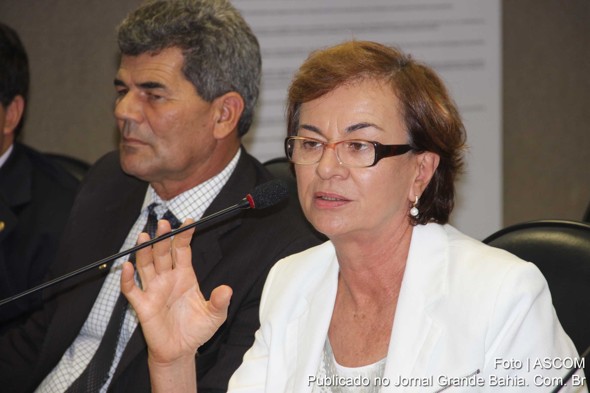 Deputada Neusa Cadore promove debate.