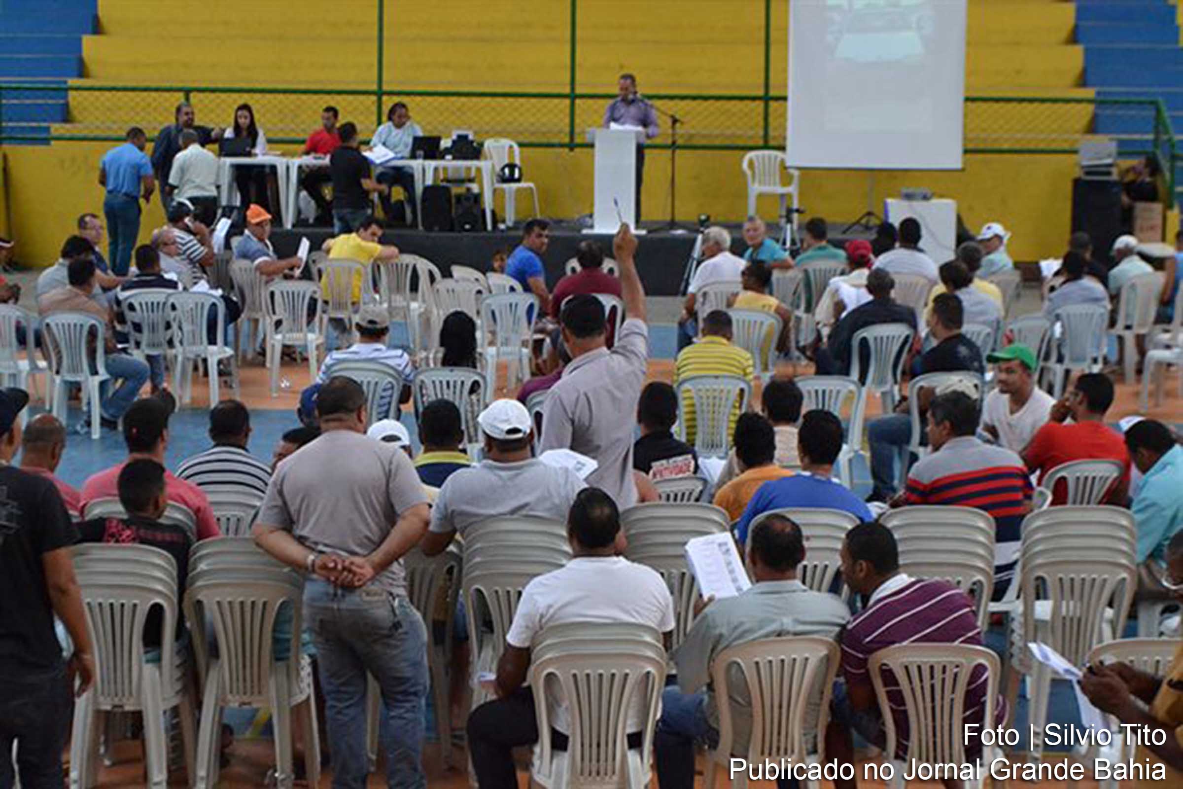 Leilão promovido pela Prefeitura de Feira de Santana arrecada R$ 316.915.