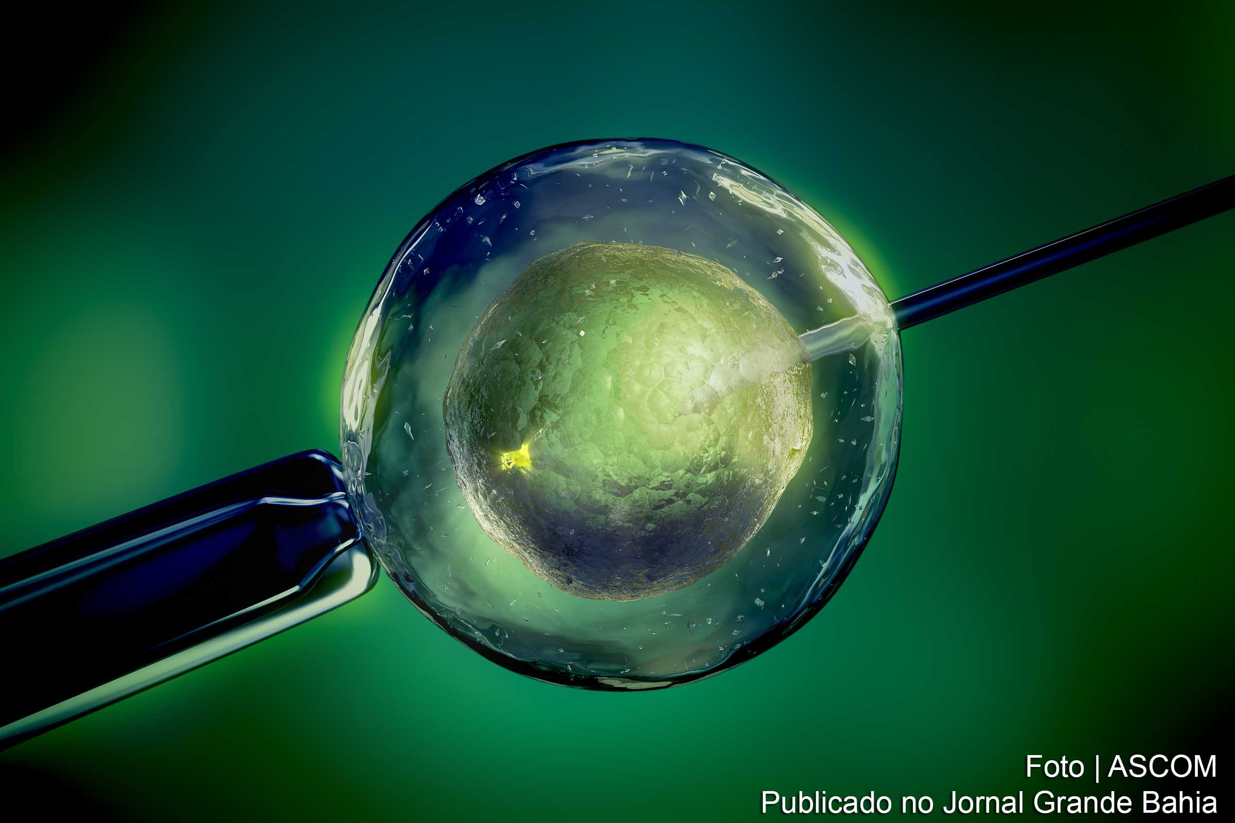 Exame ERA ajuda avaliar o tempo exato para a implantação do embrião ao útero.