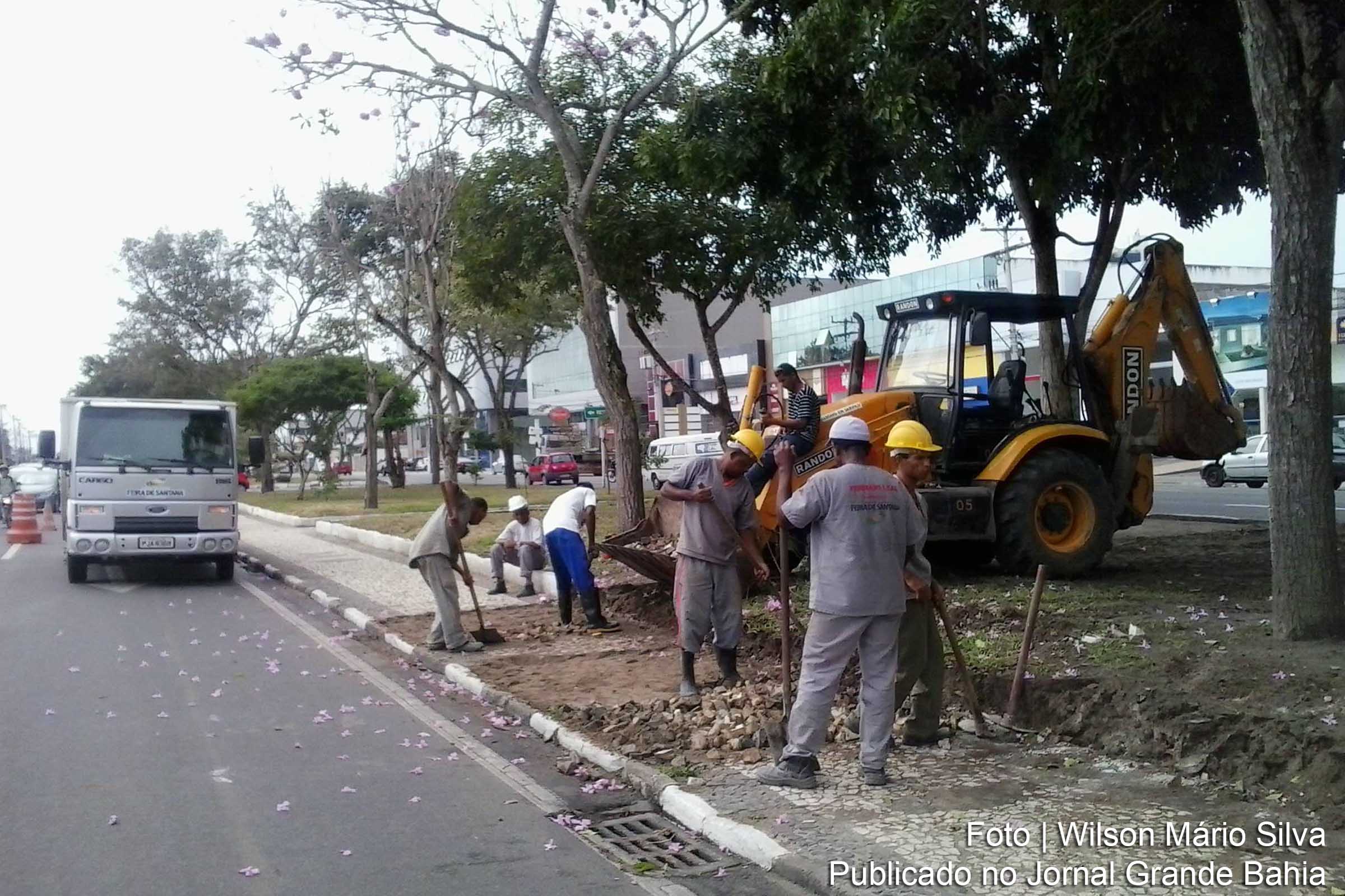 Prefeitura de Feira de Santana informa que árvores removidas da Avenida Getúlio Vargas serão transplantadas no Parque da Lagoa