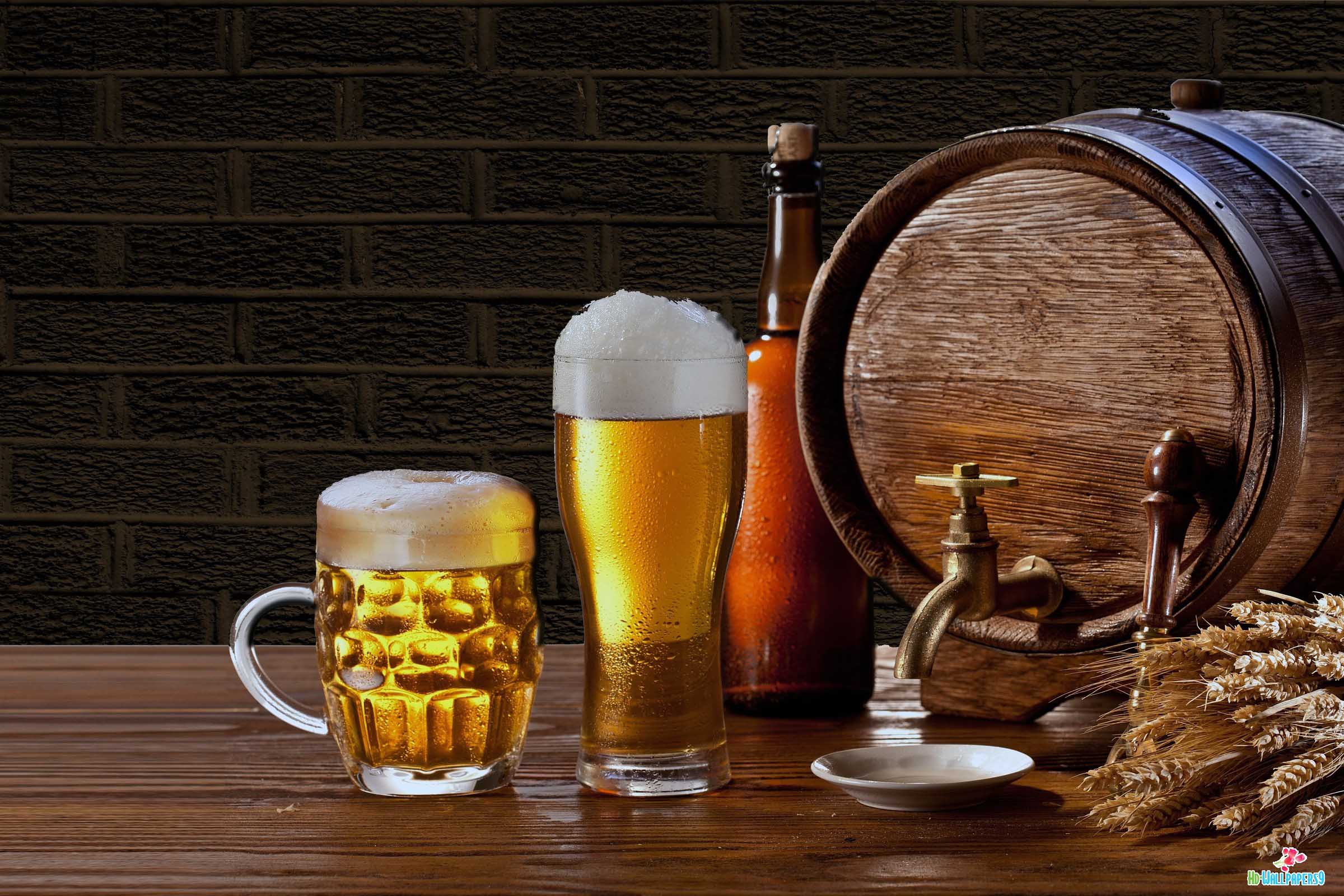 Profissionais da área têm ampla possibilidade de atuação no mercado, podendo exercer funções em cervejarias, lojas, bares, restaurantes, distribuidores, importadoras e, até, em veículos de comunicação, como críticos cervejeiros.