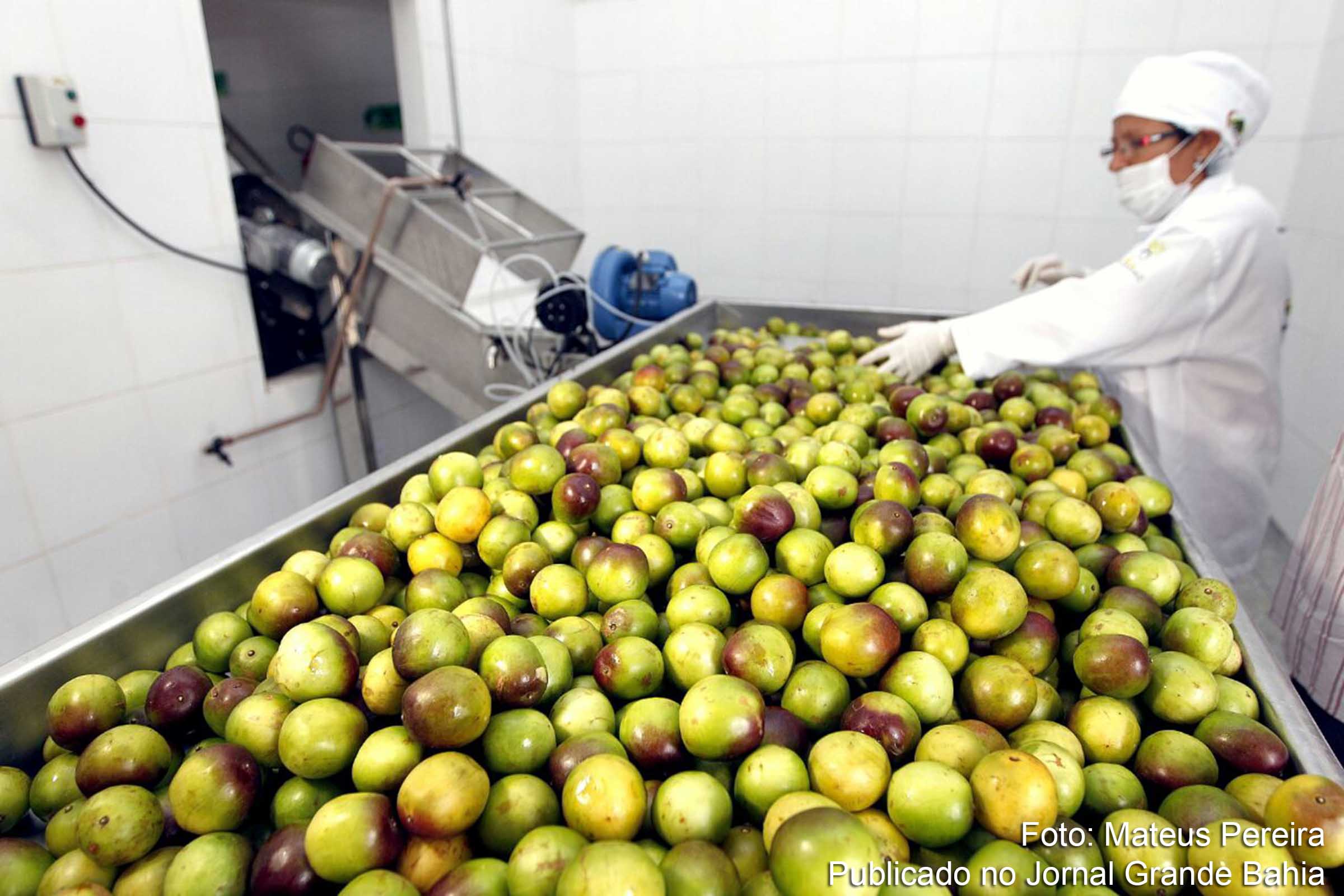 13 razões para investir na Bahia com segurança