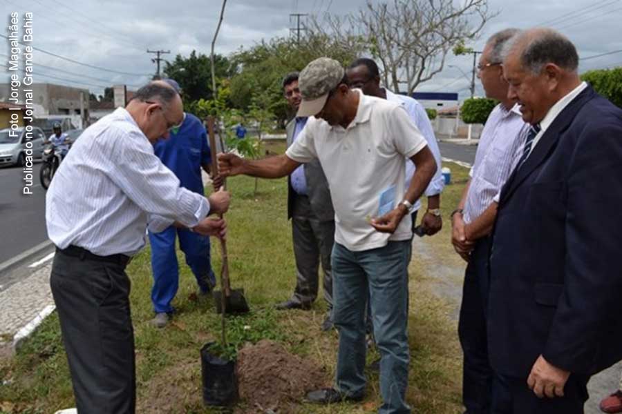 Prefeito José Ronaldo marca aniversário de emancipação política com plantio de árvores.