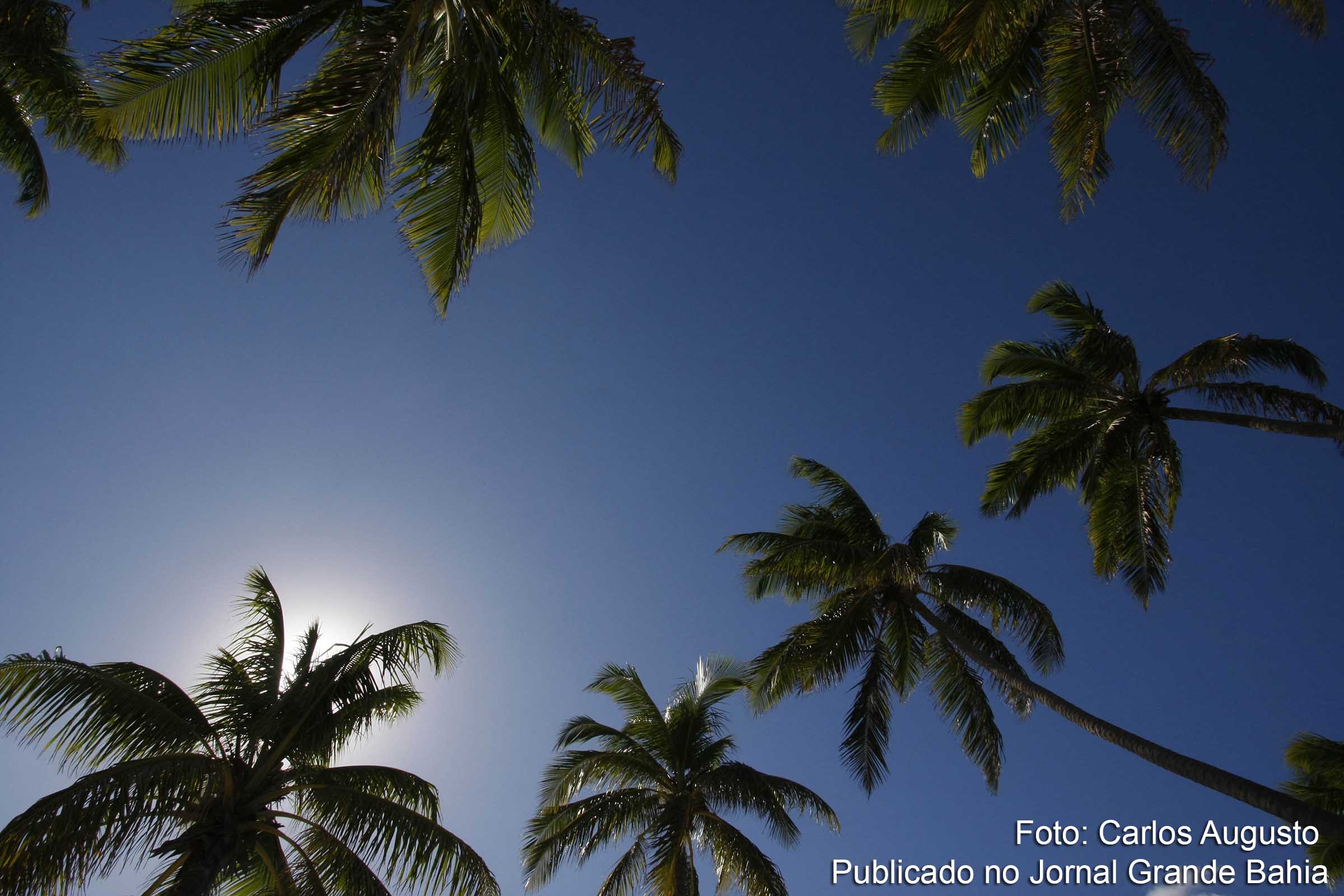 Projeção para o verão 2015 - 2016 é de intenso sol e calor.