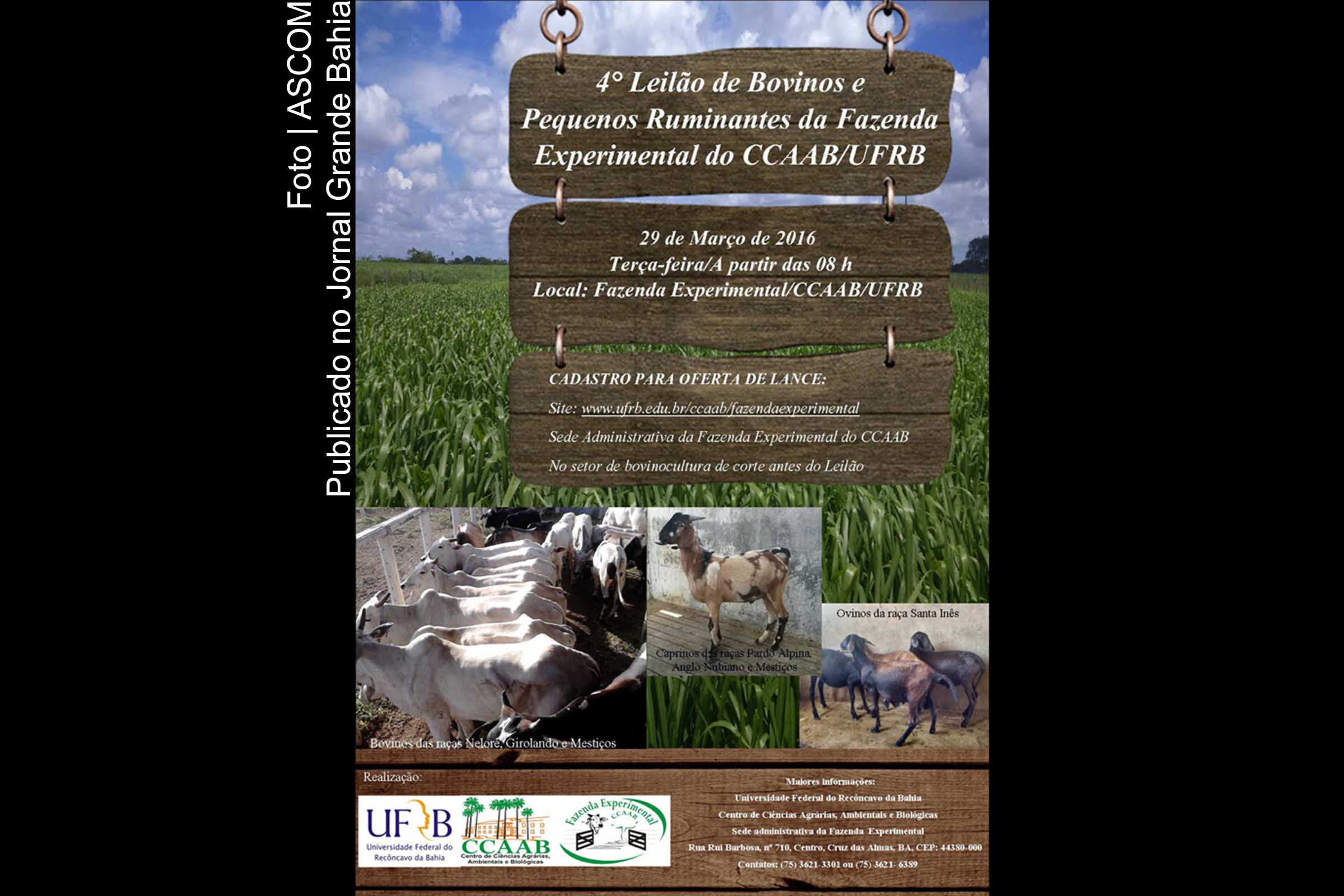 Cartaz do 4º Leilão de Leilão de Bovinos e Pequenos Ruminantes.