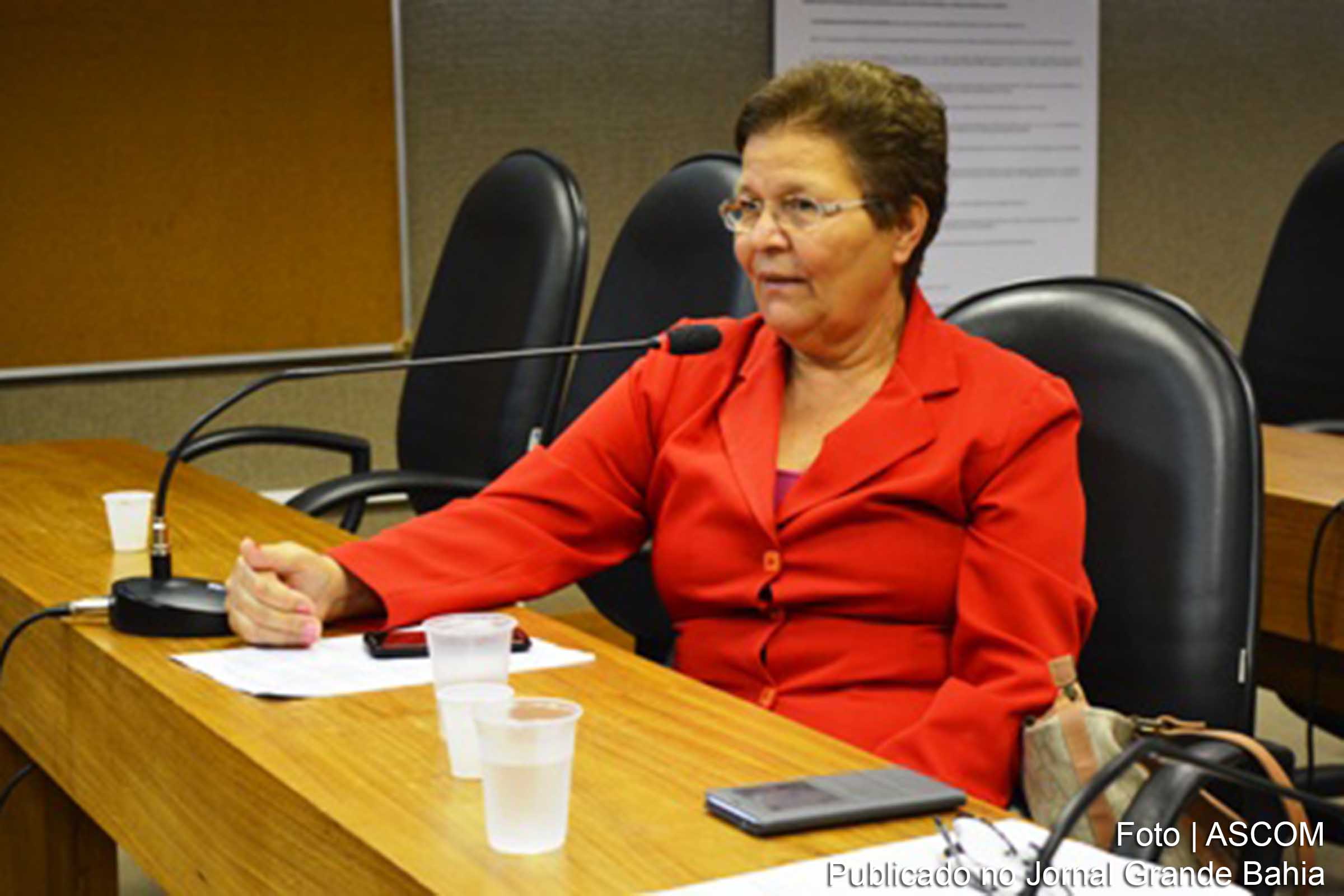 Deputada Fátima Nunes: "A Operação Lava Jato e o processo de impeachment são duas coisas distintas. A elite brasileira e a grande mídia, liderada pela Rede Globo, querem aliar uma coisa à outra como se existisse alguma implicação com a presidenta Dilma”.