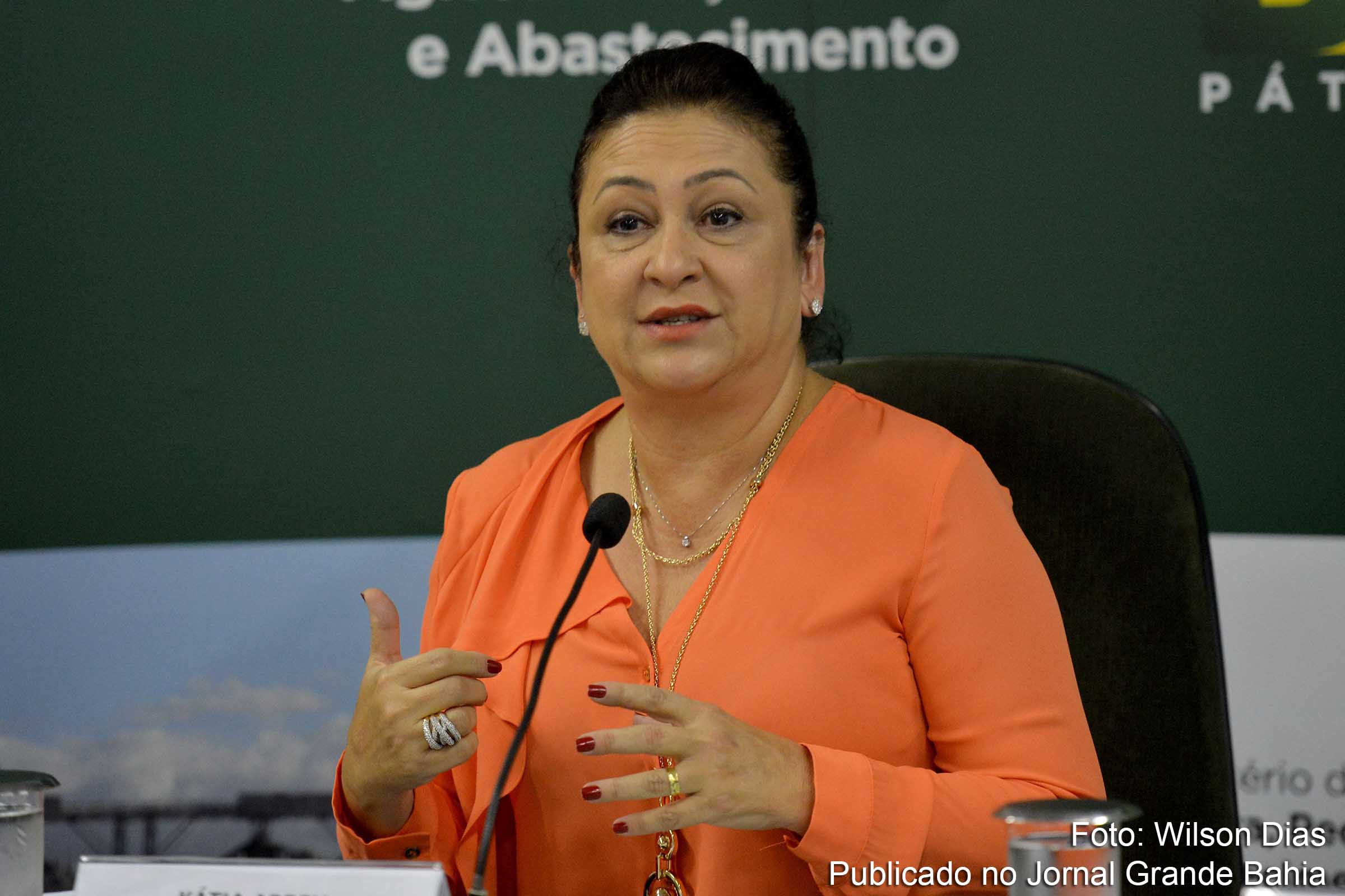 Ministra Kátia Abreu mantém apoio ao governo Rousseff.