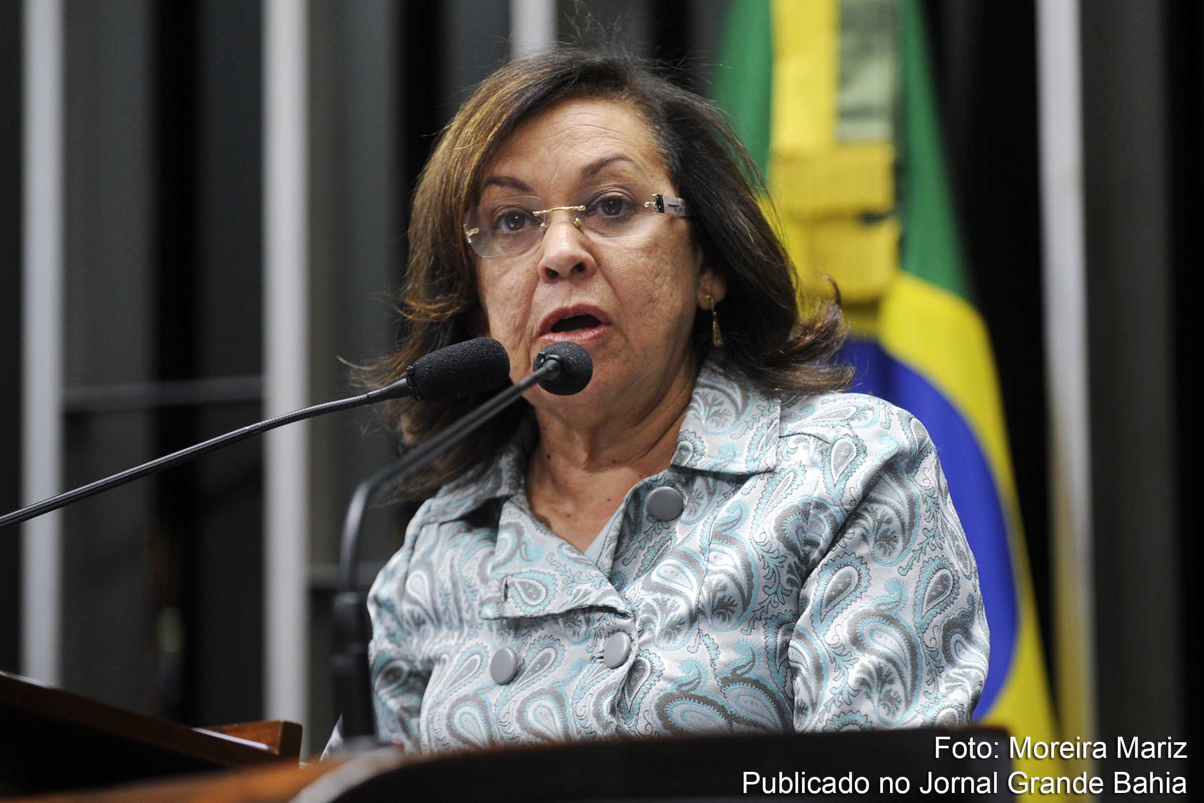 Senadora Lídice da Mata demonstra posição firme na defesa do Estado Democrático de Direito.