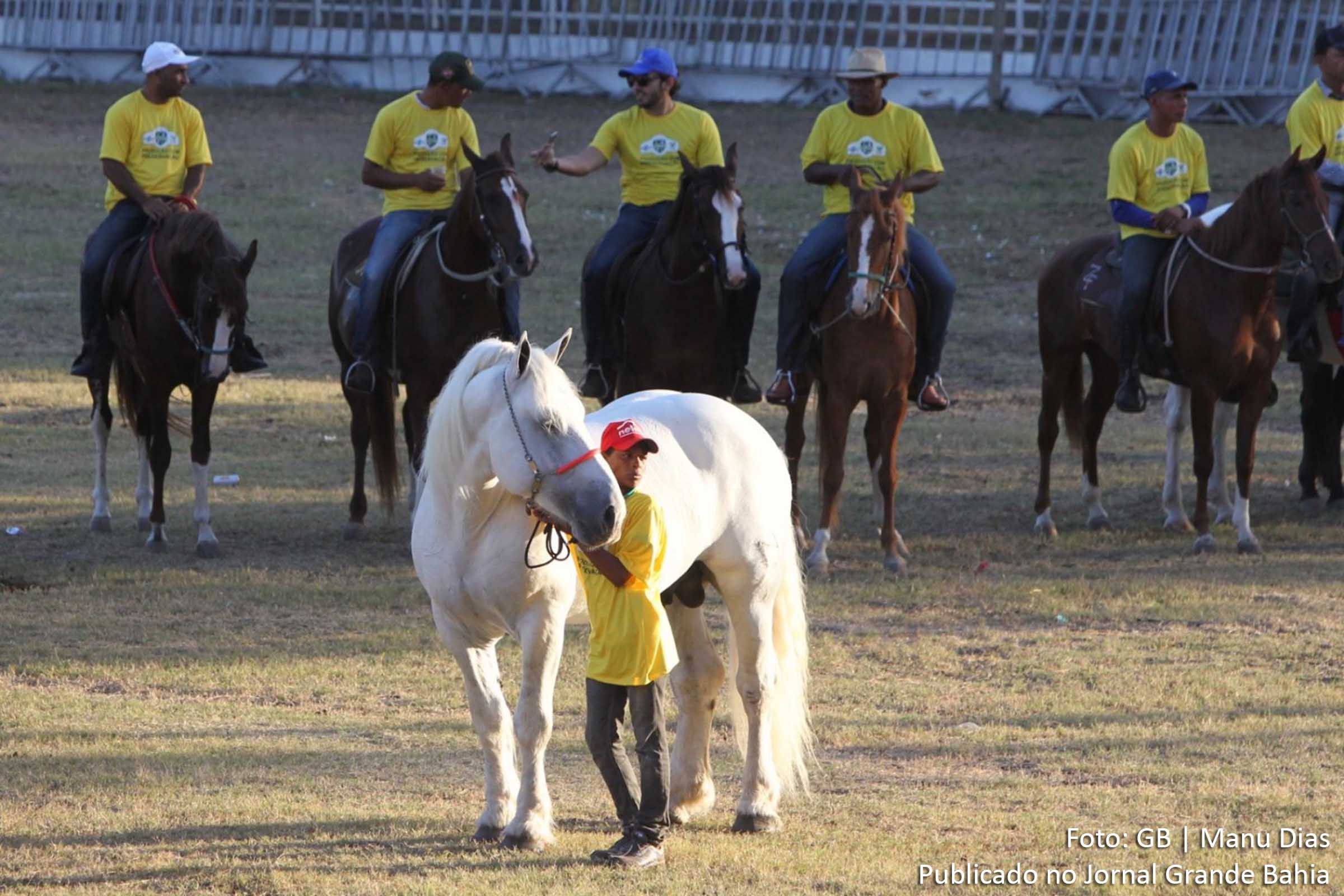Setor agropecuário apresenta crescimento.
