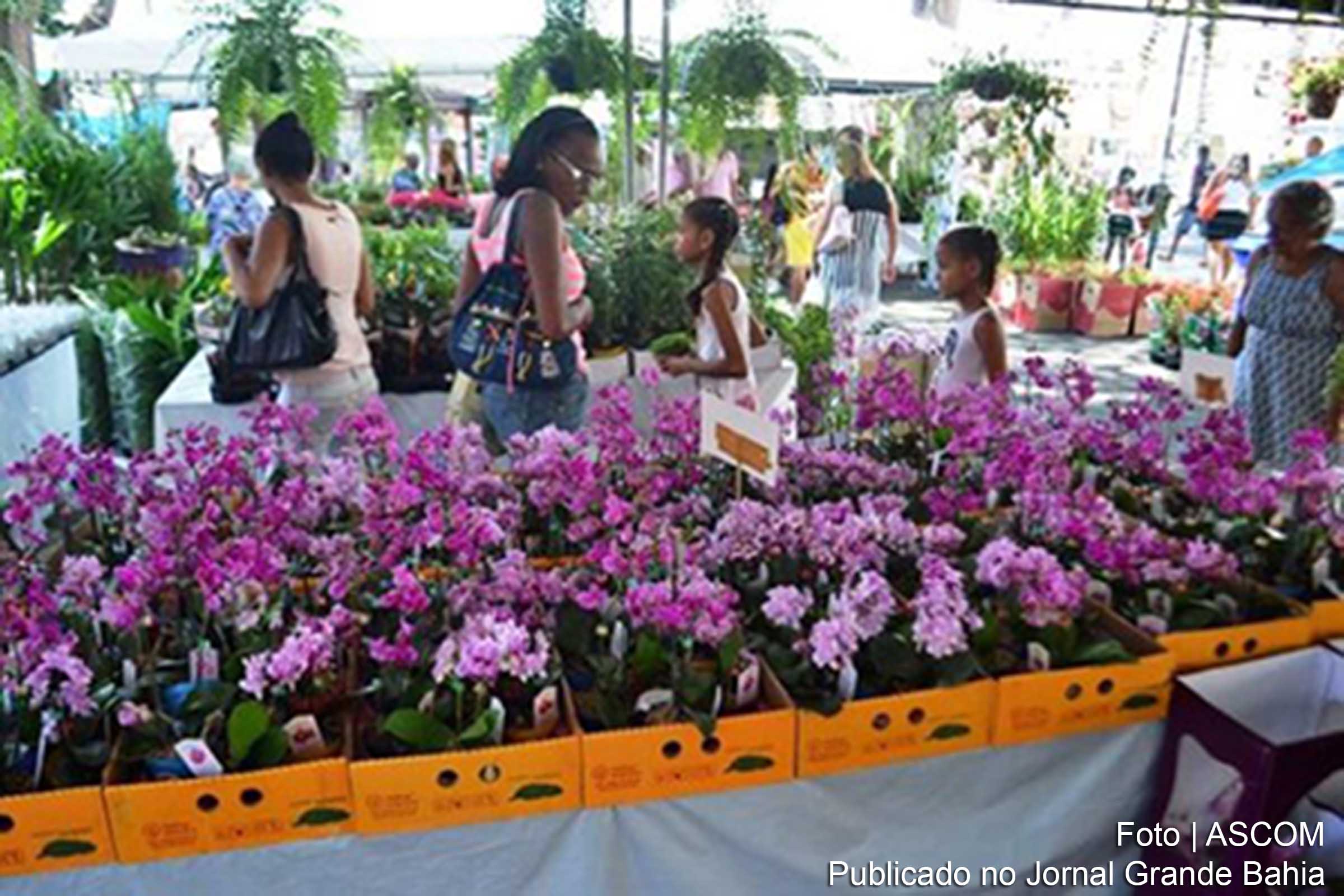 Cerca de 200 espécies de flores, plantas e frutíferas estão à venda.