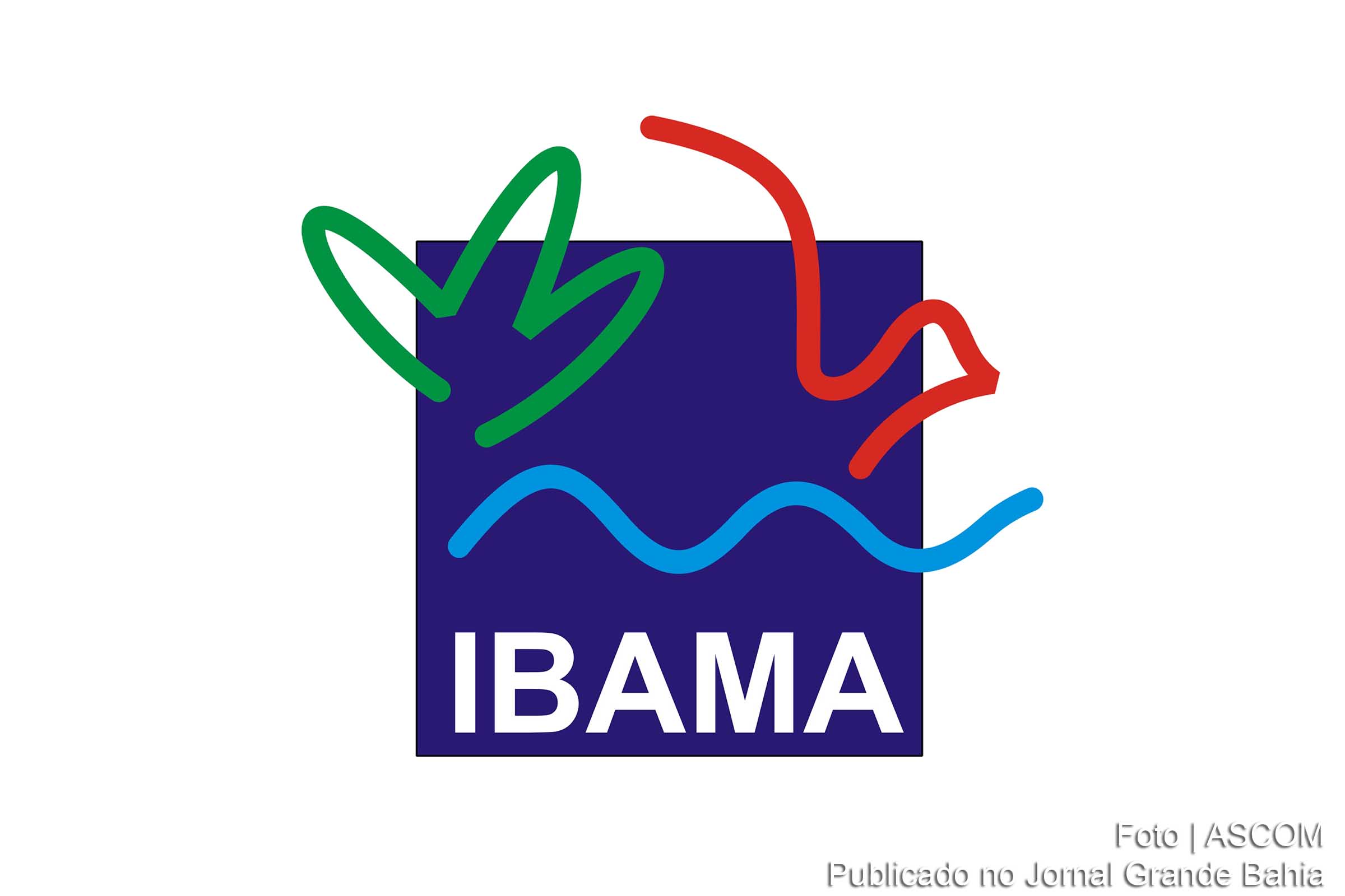Segundo MPF, Instituto Brasileiro do Meio Ambiente e dos Recursos Naturais Renováveis (IBAMA) estava repassando, irregularmente, os processos de embargo de empreendimentos localizados no Oeste da Bahia, originados de suas fiscalizações, para a Sema.