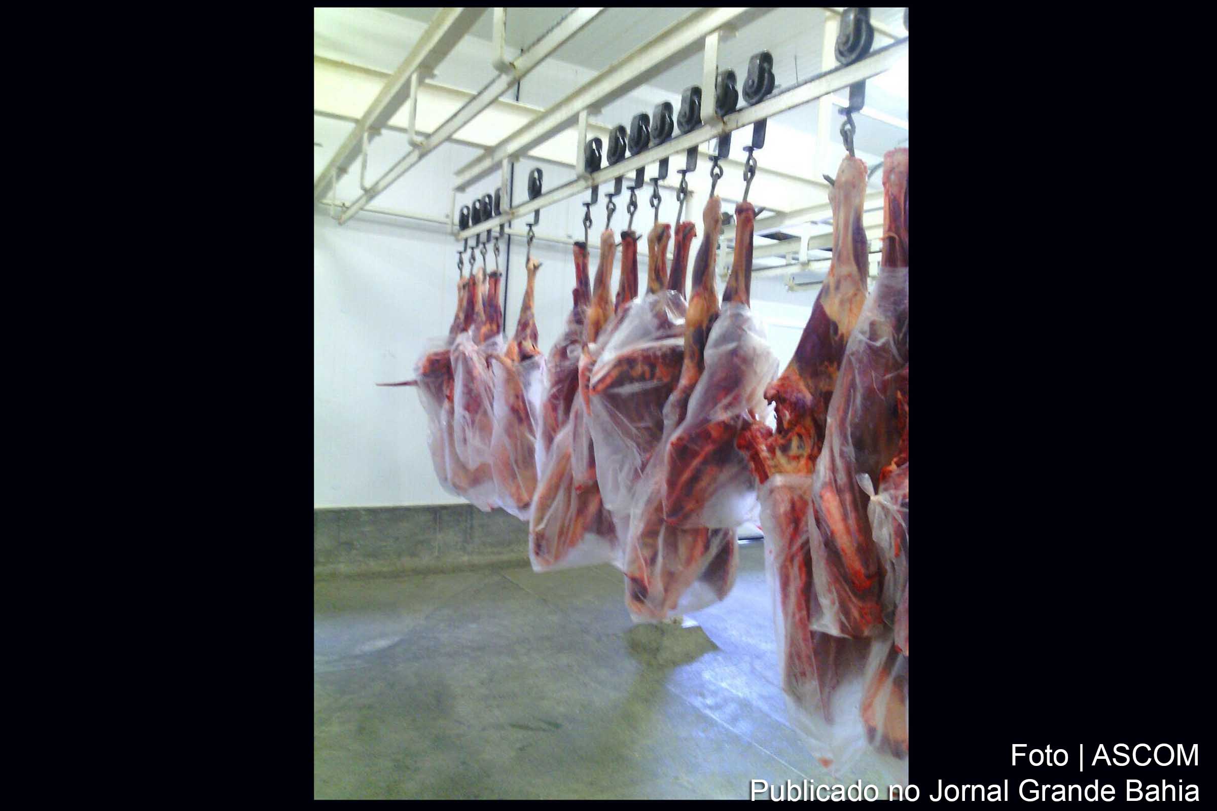 O couro de jumentos vai ser vendido aos chineses, a carne fornecida ao zoológico e o resíduo restante será transformado em ração animal.
