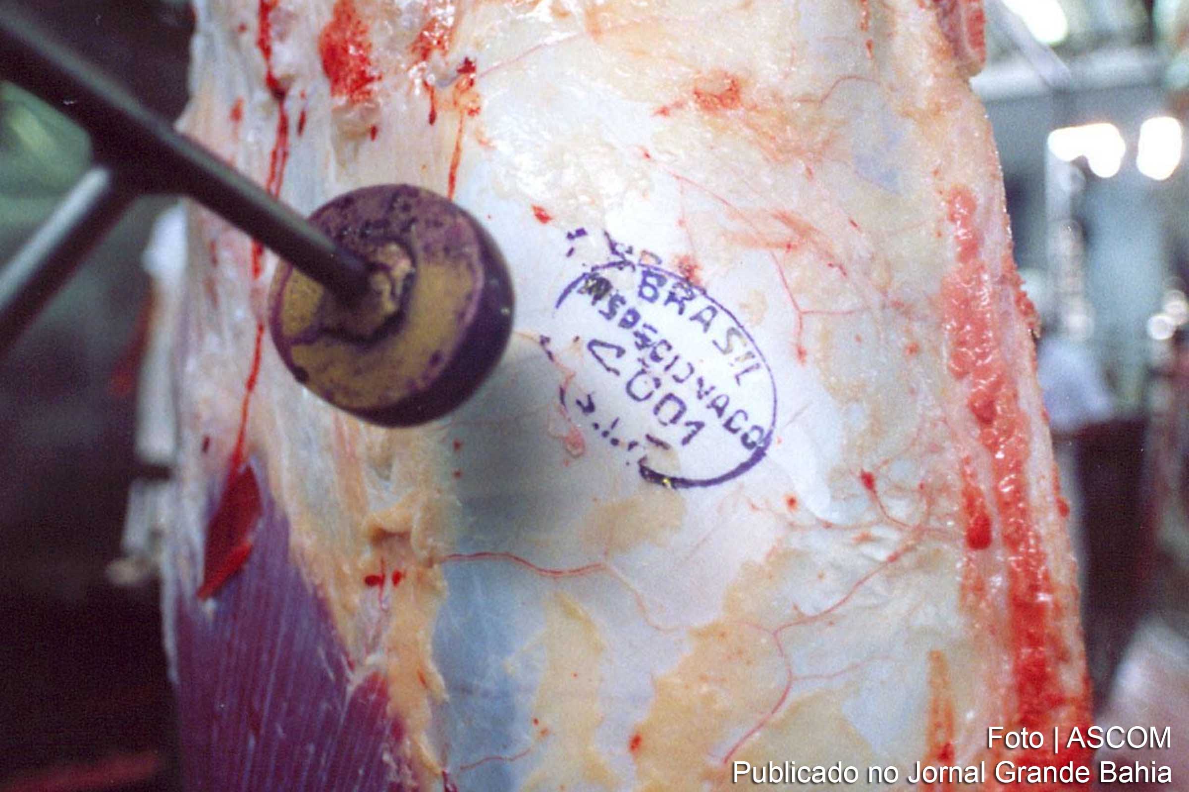 Bahia mantém adesão ao Sistema Brasileiro de Inspeção.