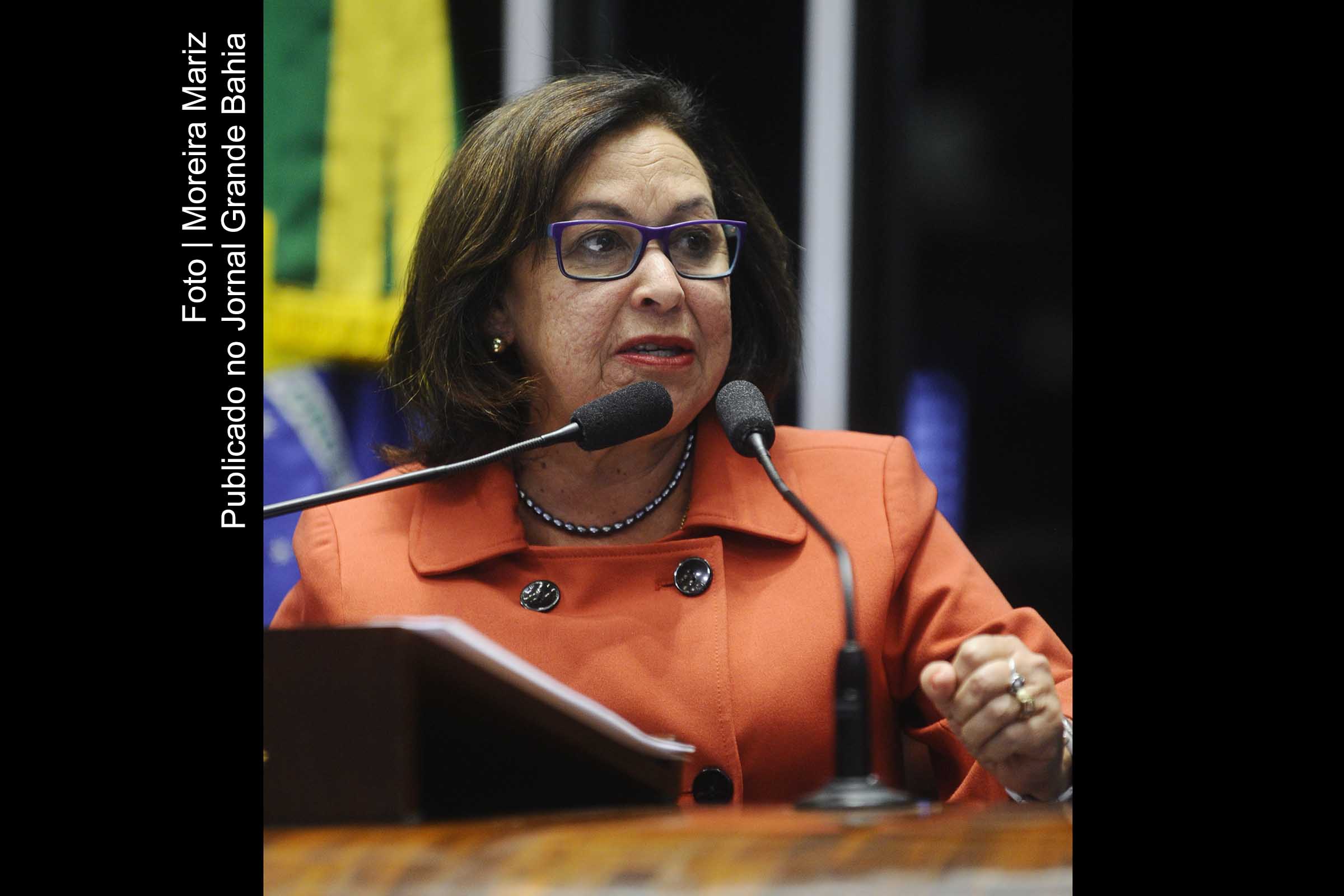 Senadora Lídice da Mata pede eleição e acusa derrotados de 2014 de se unirem à mídia numa conspiração.