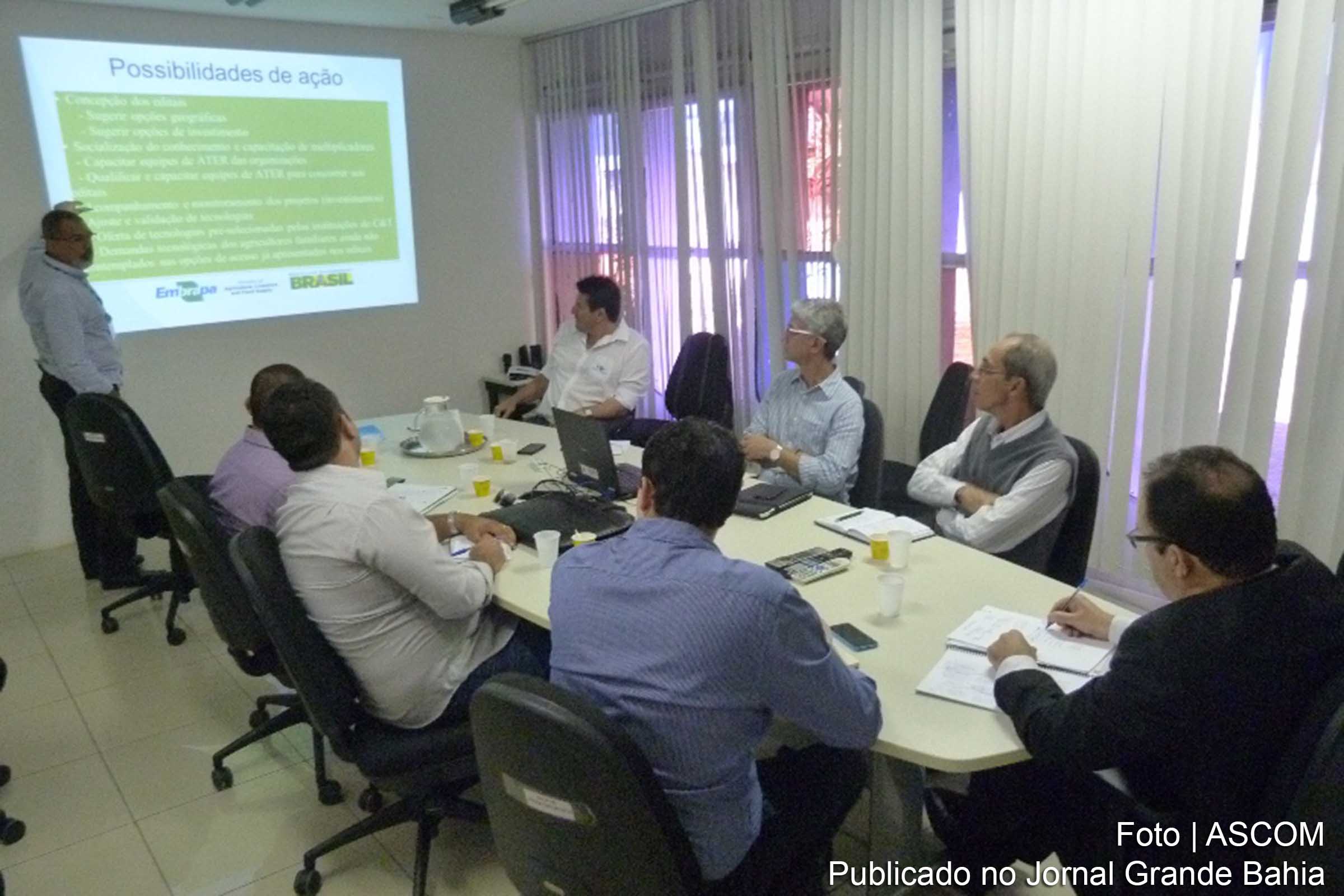 Editais do Bahia Produtiva contarão com apoio técnico da Embrapa