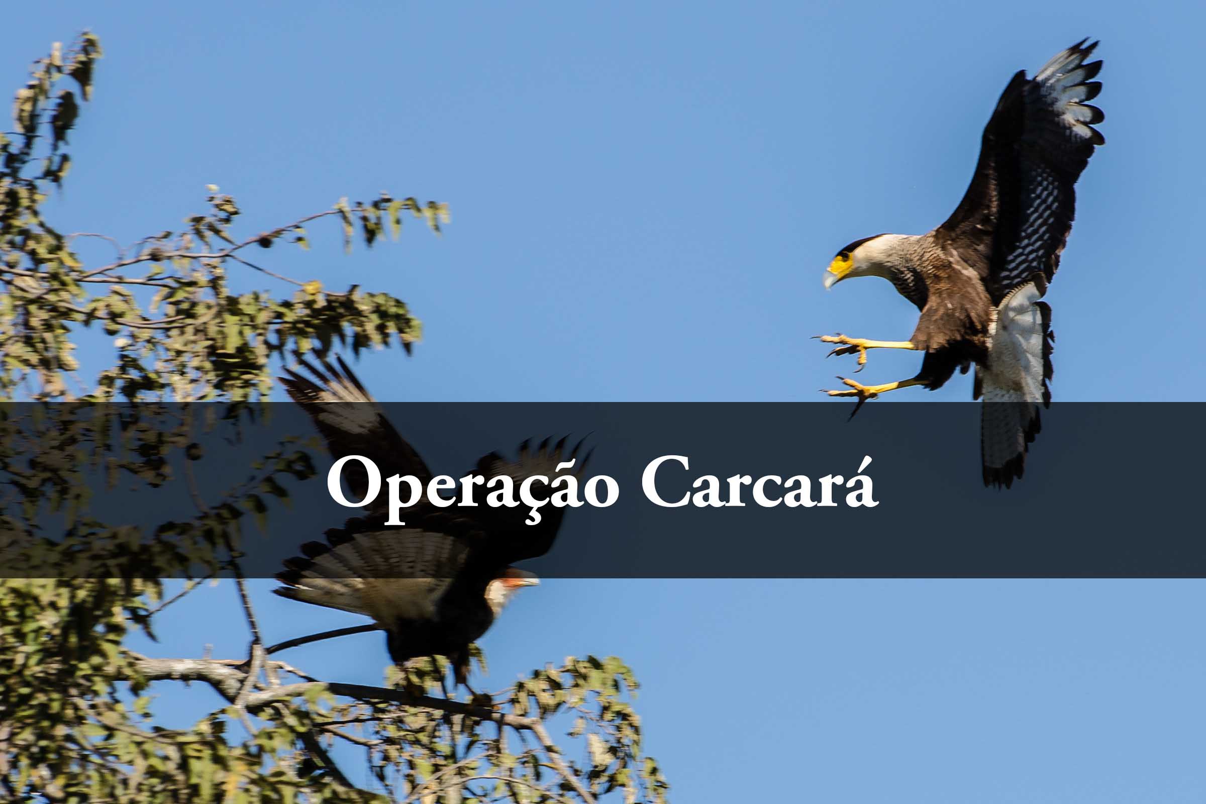 Segundo MPF, quadrilha também desviou recursos públicos federais e praticou corrupção ao pagar comissões a servidores públicos das prefeituras.