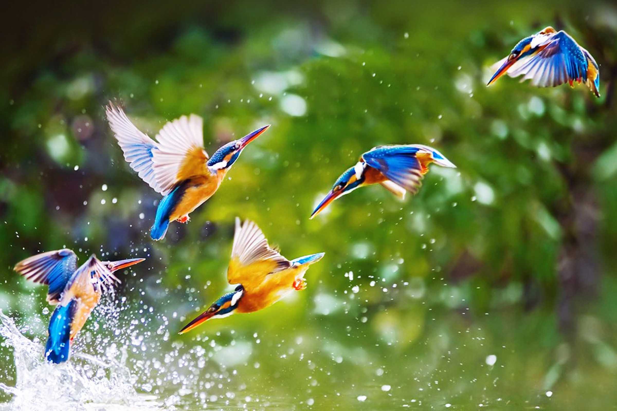 Ação do MPBA combate apreensão ilegal de animais em área de preservação.