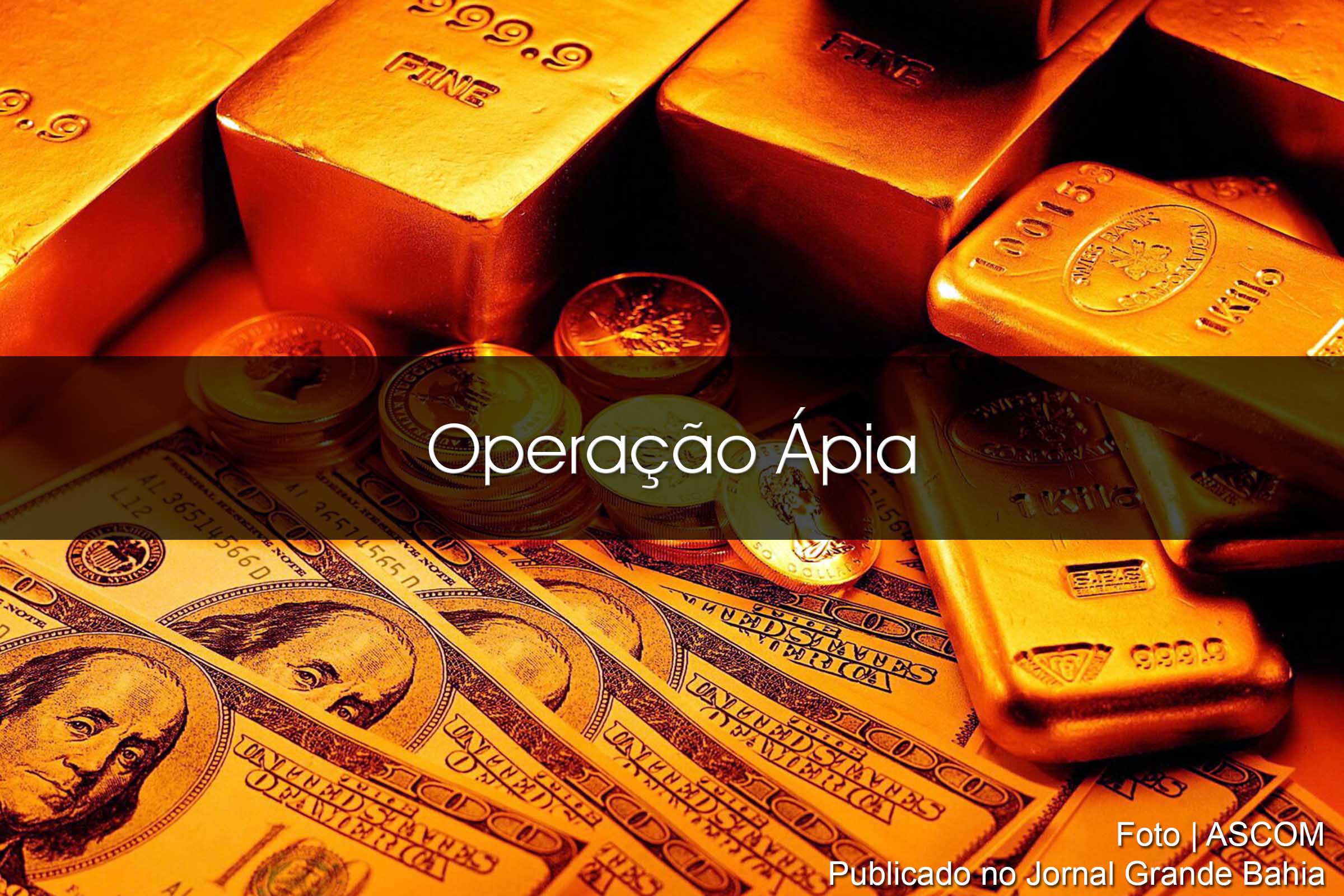 Durante a Operação Ápia, 350 policiais federais participam da operação e cumprem 113 mandados judiciais, sendo dezenove mandados de prisão temporária, 48 de condução coercitiva e 46 de busca e apreensão.