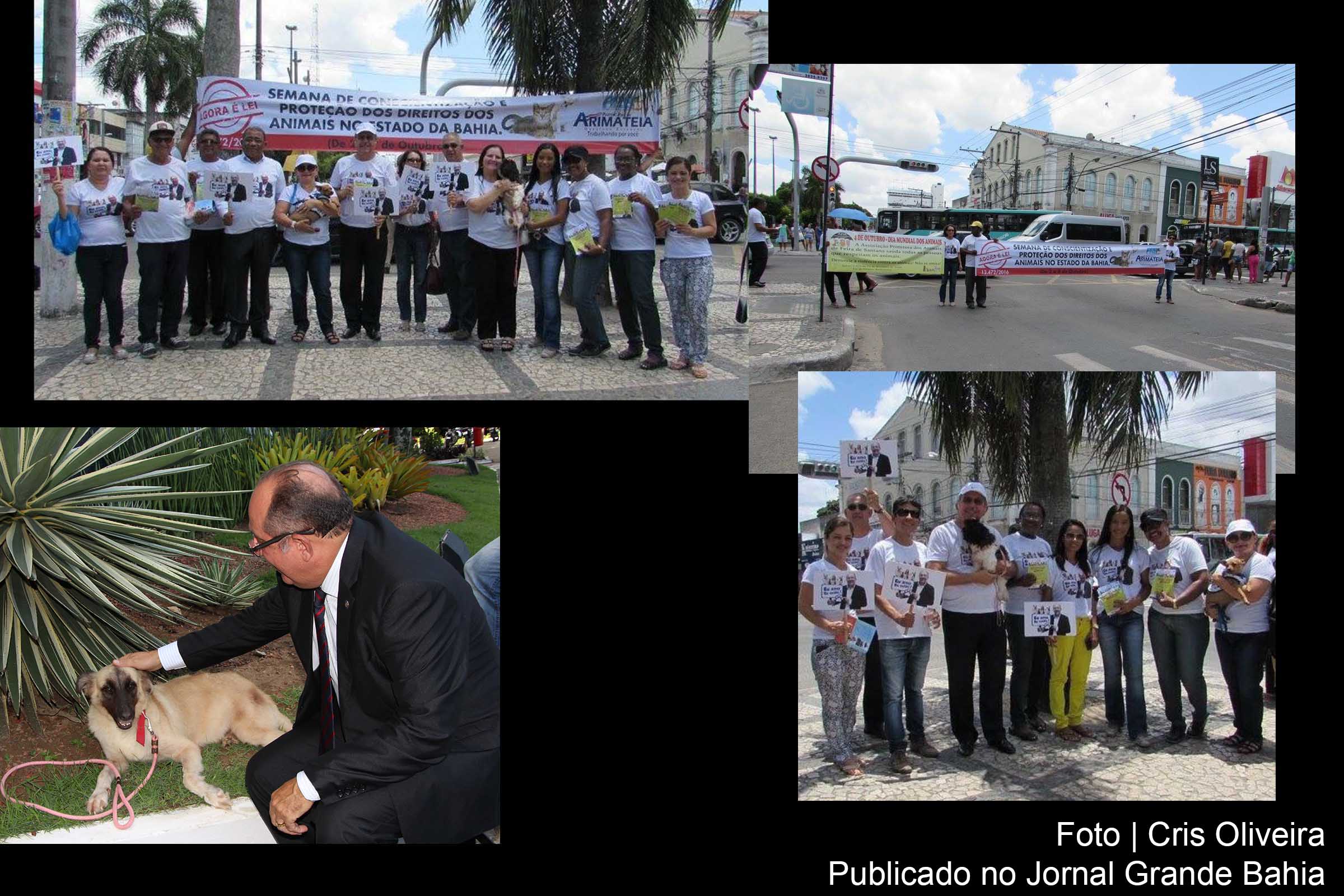 'Semana de Conscientização e Proteção dos Direitos dos Animais', campanha é lançada pelo deputado José de Arimateia, em Feira de Santana.