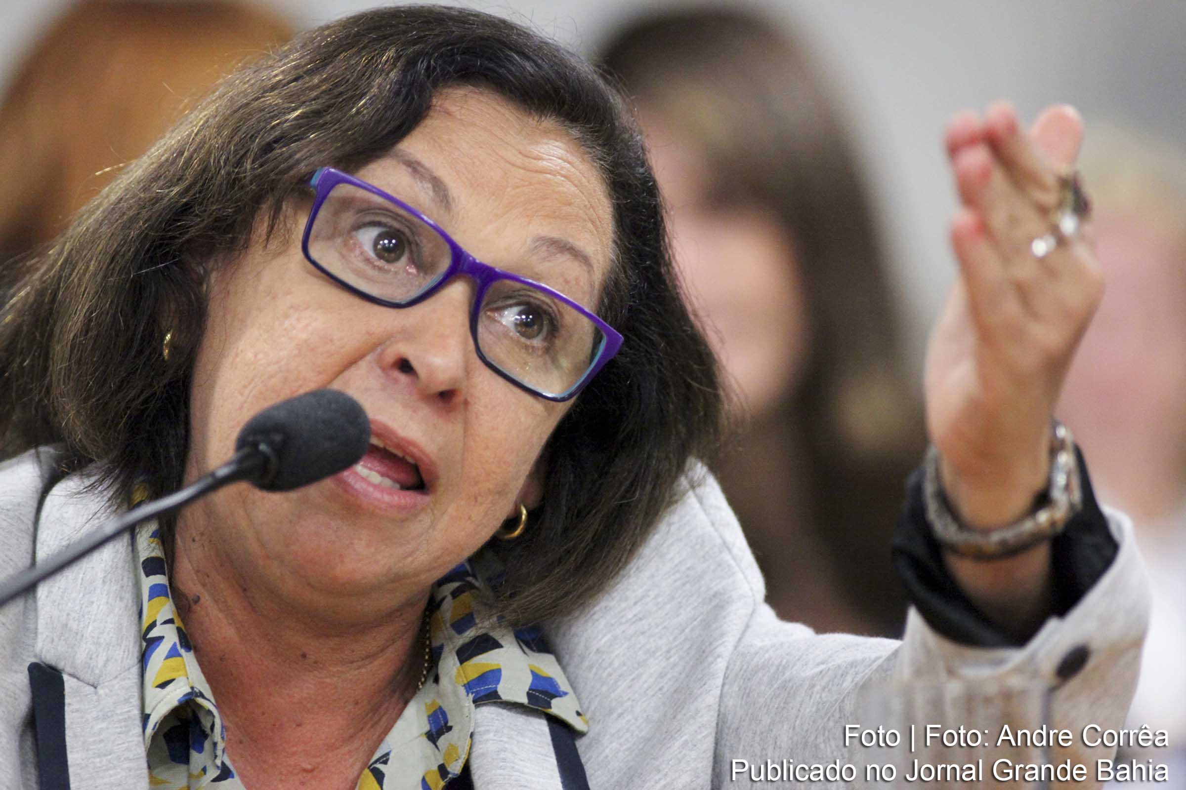 Lídice da Mata: Congresso Nacional se submete totalmente a uma agenda determinada pelo Poder Executivo.