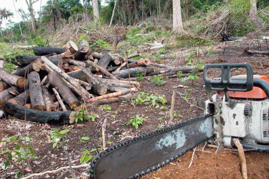 Junto com a multa, o Ibama aplica medidas cautelares, que são efetivas para controlar o desmatamento. Entre agosto de 2015 e julho 2016 houve aumento de 29% do desmatamento na região amazônica.
