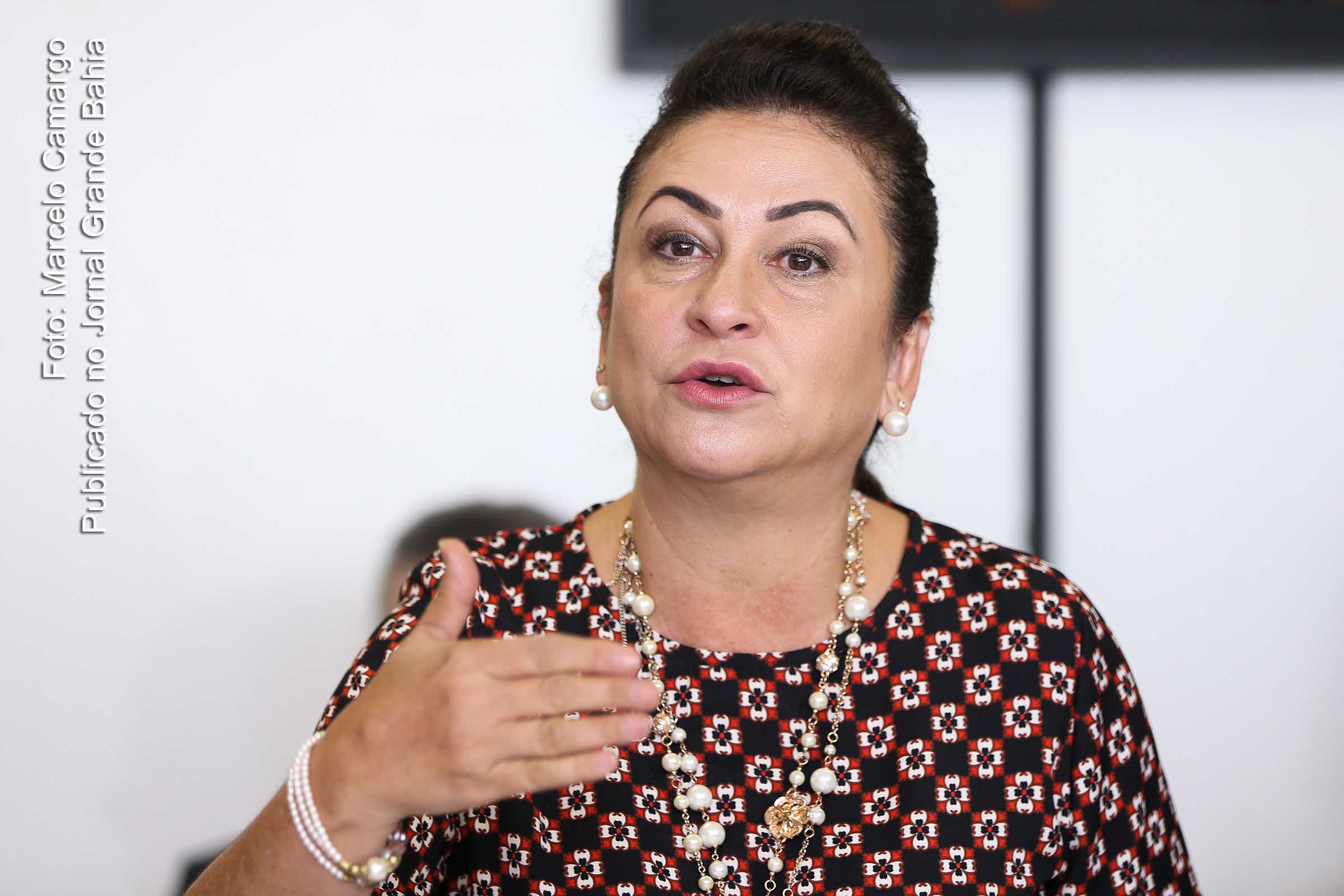 Senadora Kátia Abreu lê relatório final da Comissão Especial do Extrateto para ser votado no Senado.