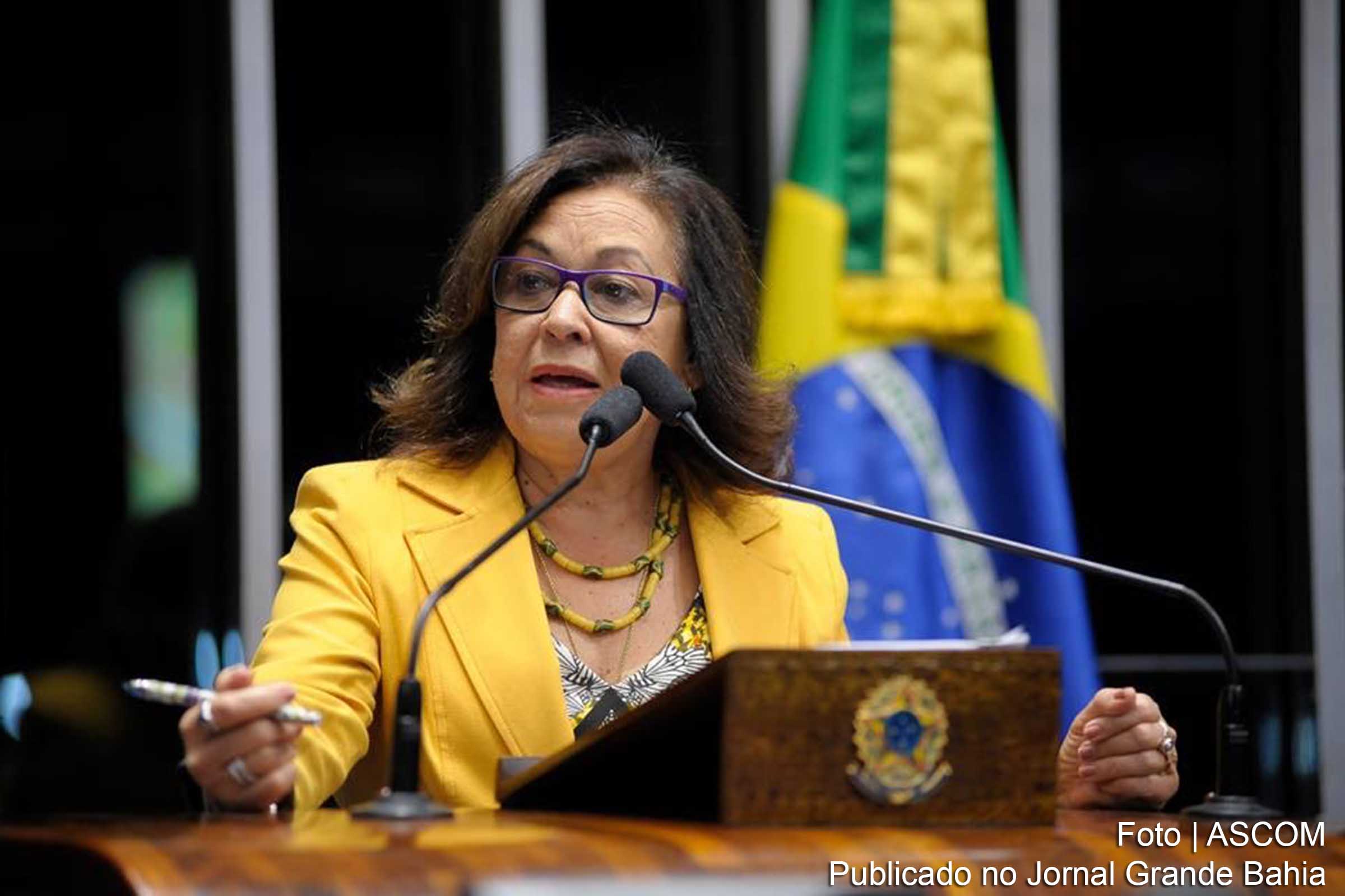 De acordo com a senadora Lídice da Mata, a iniciativa prevê uma forte articulação entre os órgãos públicos e a sociedade civil para encontrar soluções viáveis.
